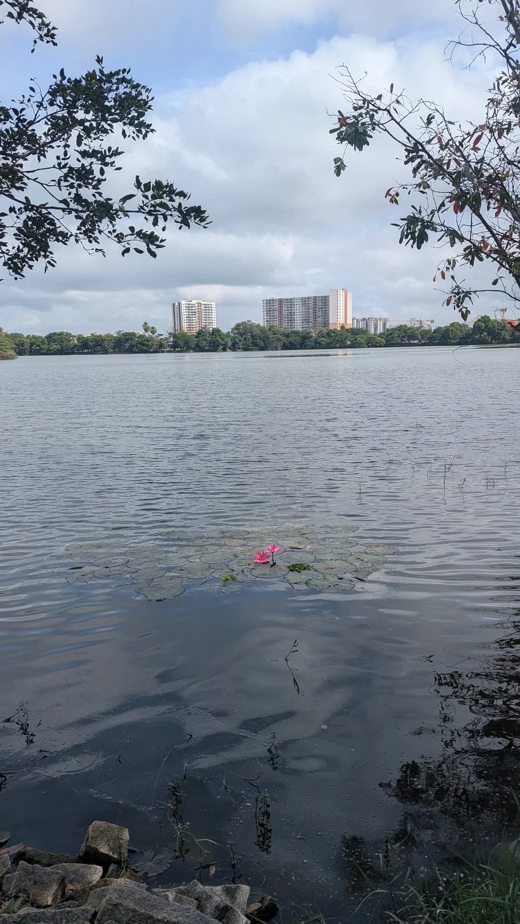 Bangalore - A city of lakes and gardens