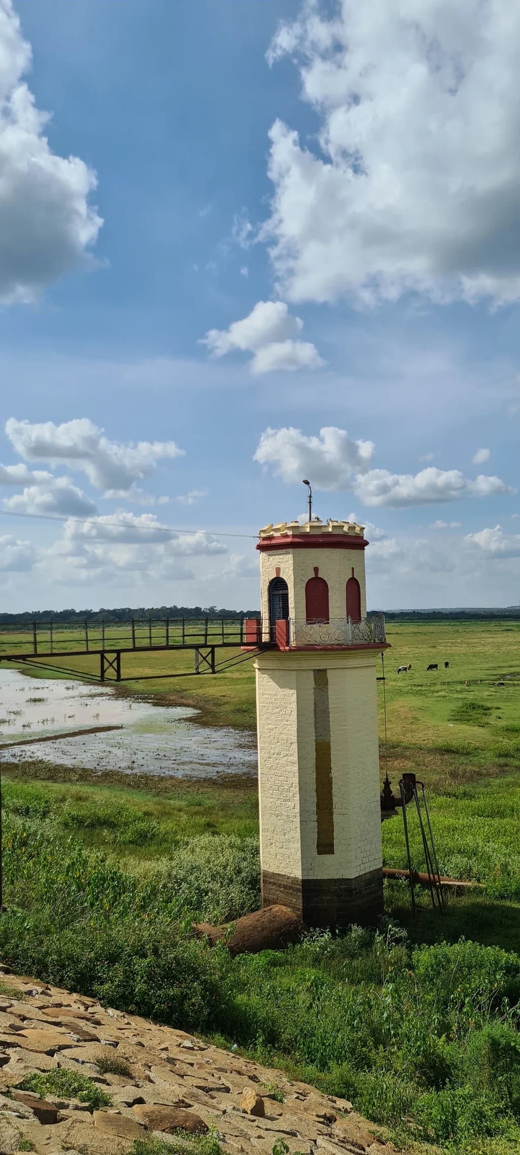 Hesaraghatta Lake and surrounding Avalahalli Forest - quick getaway from Bangalore