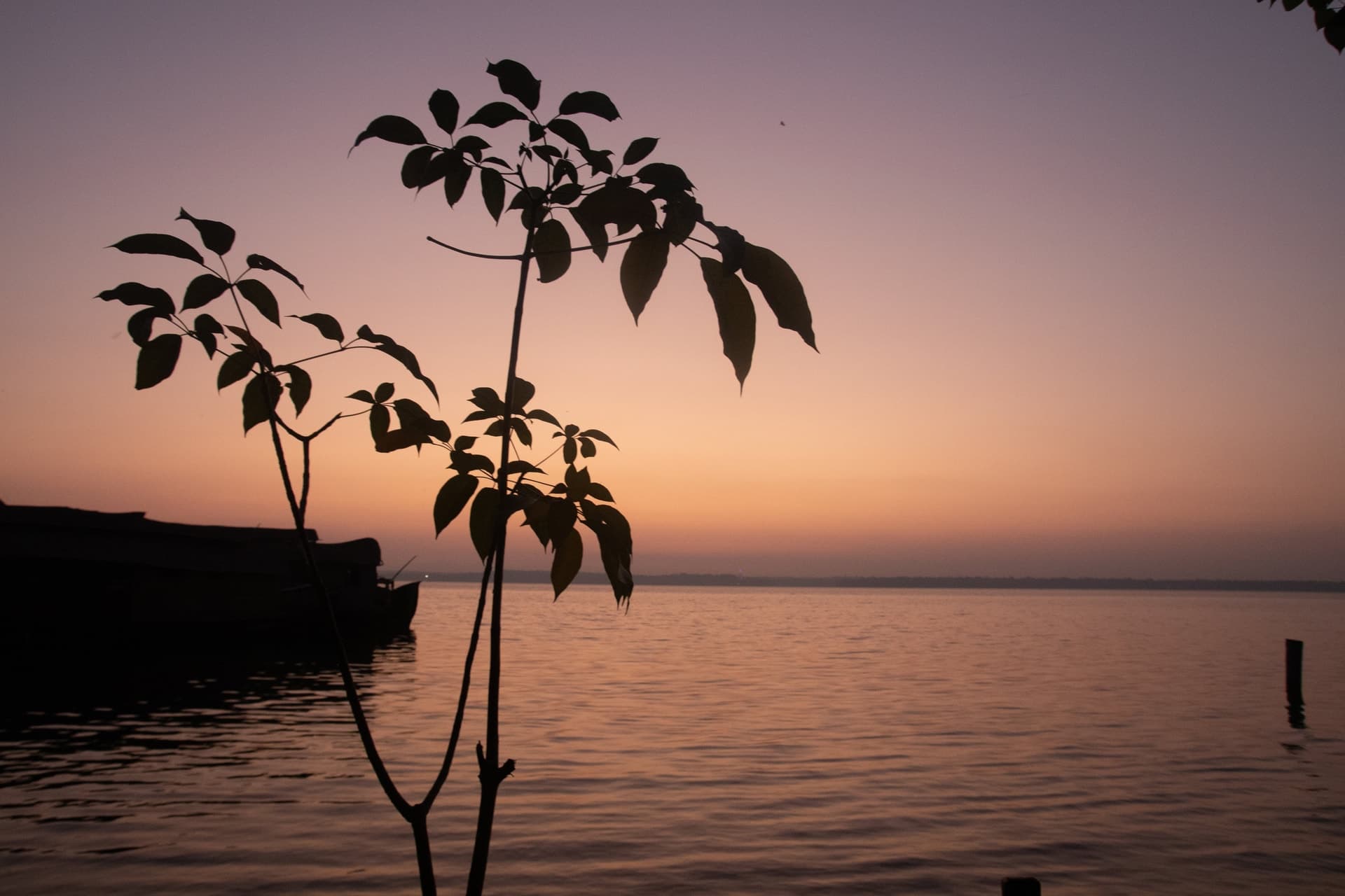 Sunset over Ashtamudi