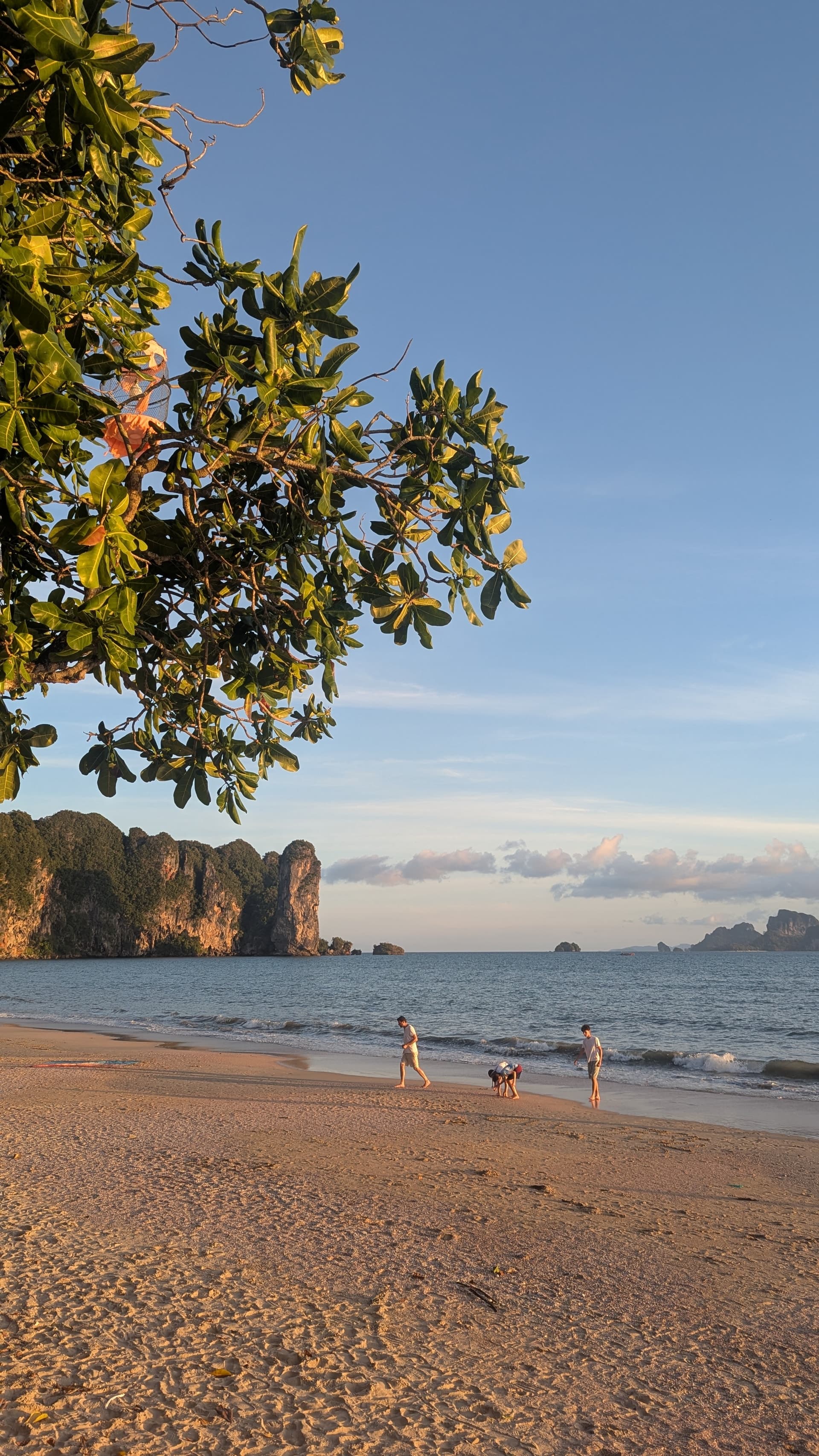 Google Pixel 7 — 7mm • ƒ/1.9 • 1/336 • ISO 44