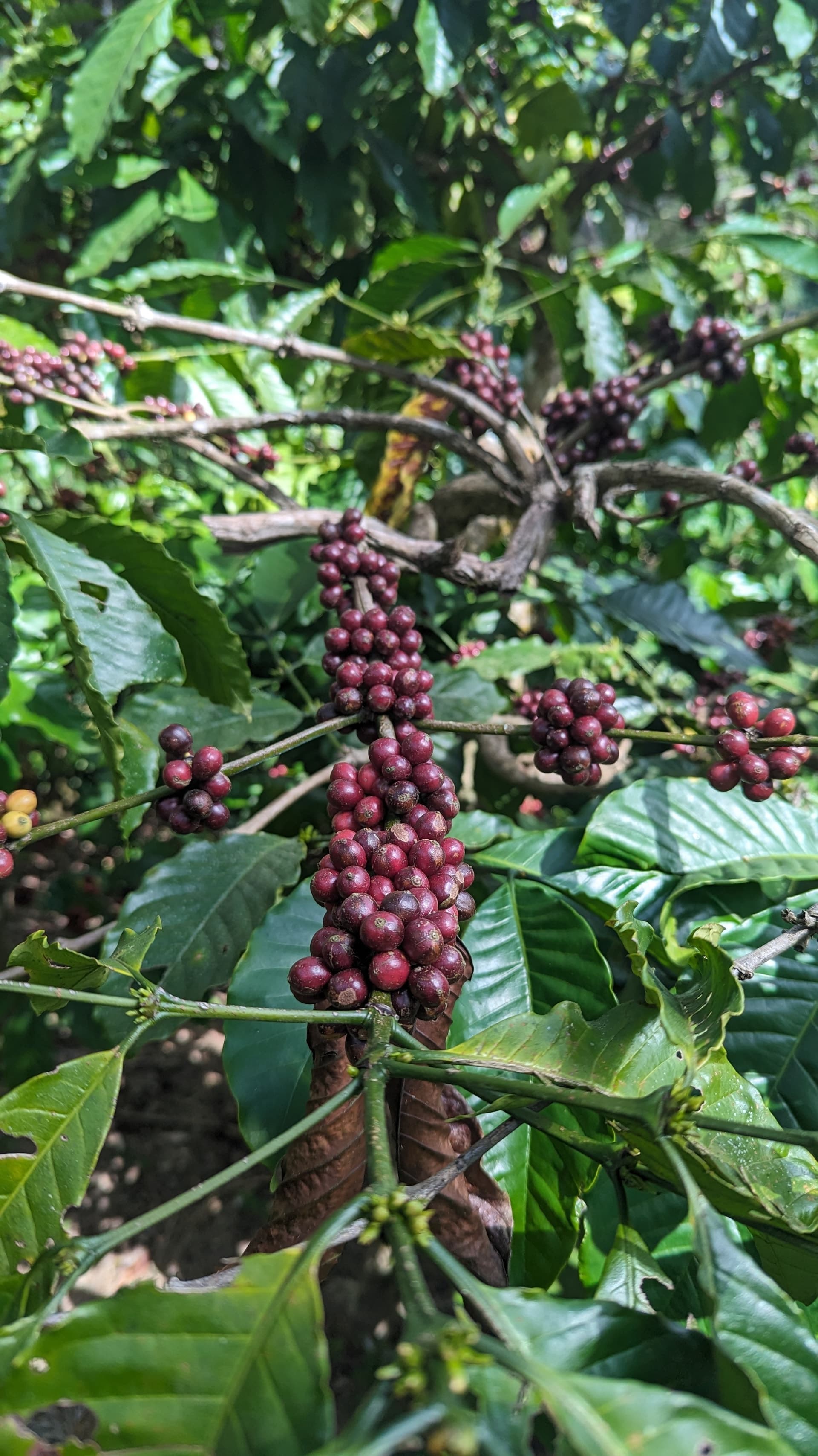 Google Pixel 7 — 7mm • ƒ/1.9 • 1/740 • ISO 44