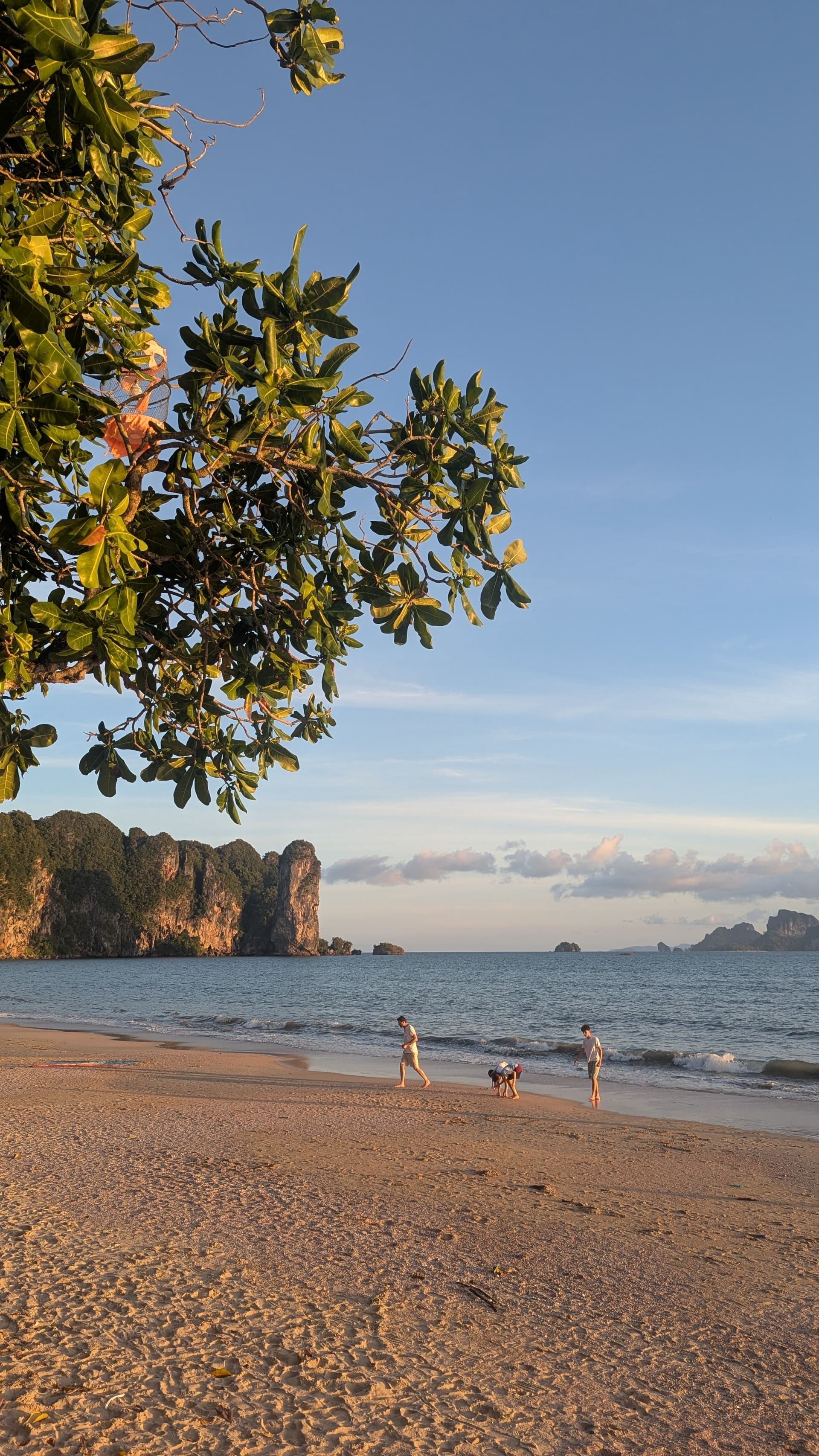 Why we Went Back to Thailand