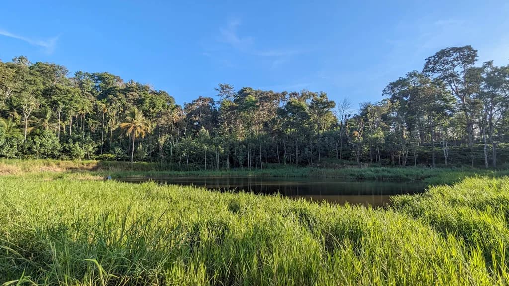 Bangalore to Madikeri: The Ultimate 3-Day Coorg Road Trip Itinerary