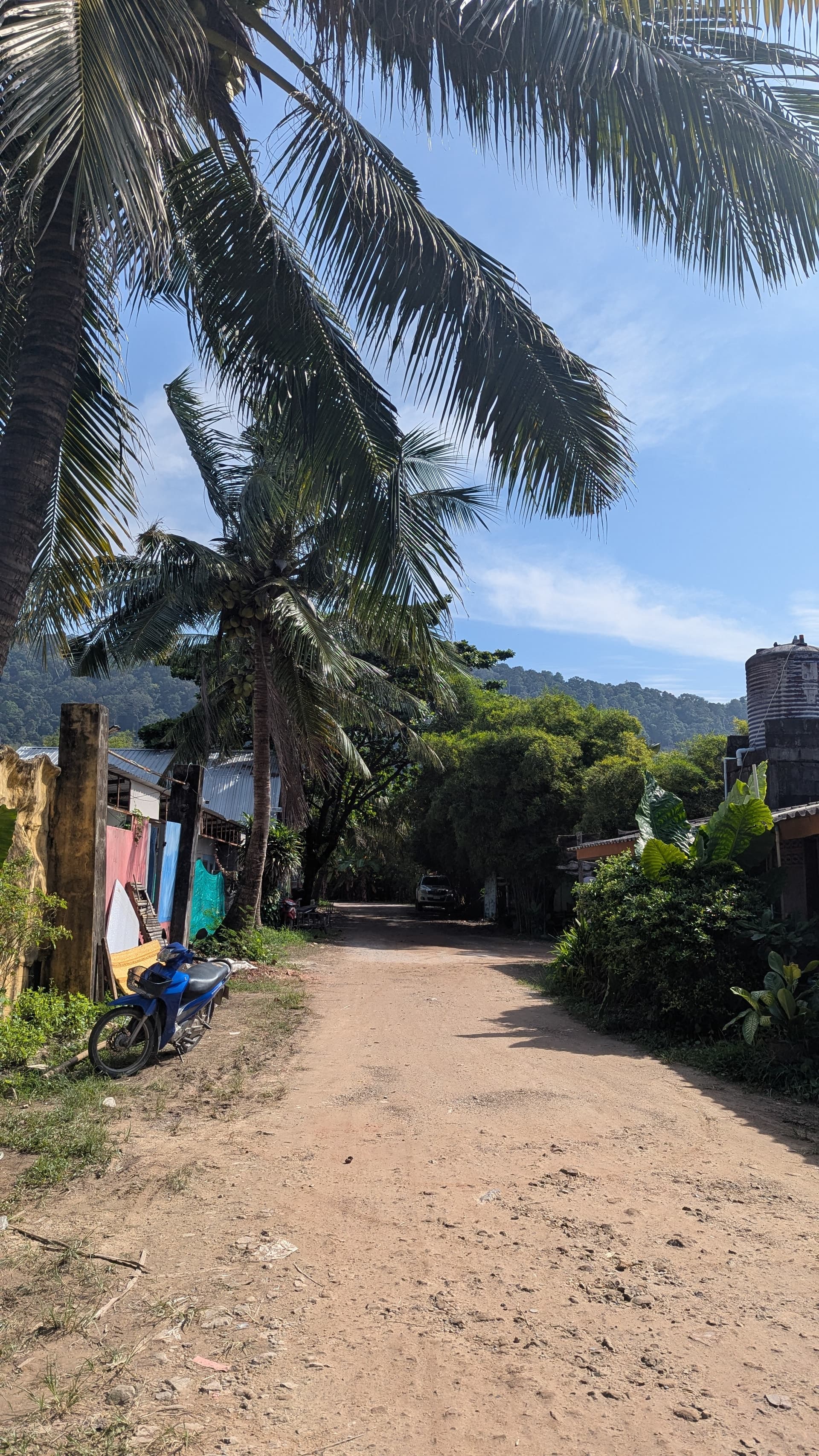 Google Pixel 7 — 7mm • ƒ/1.9 • 1/2833 • ISO 48