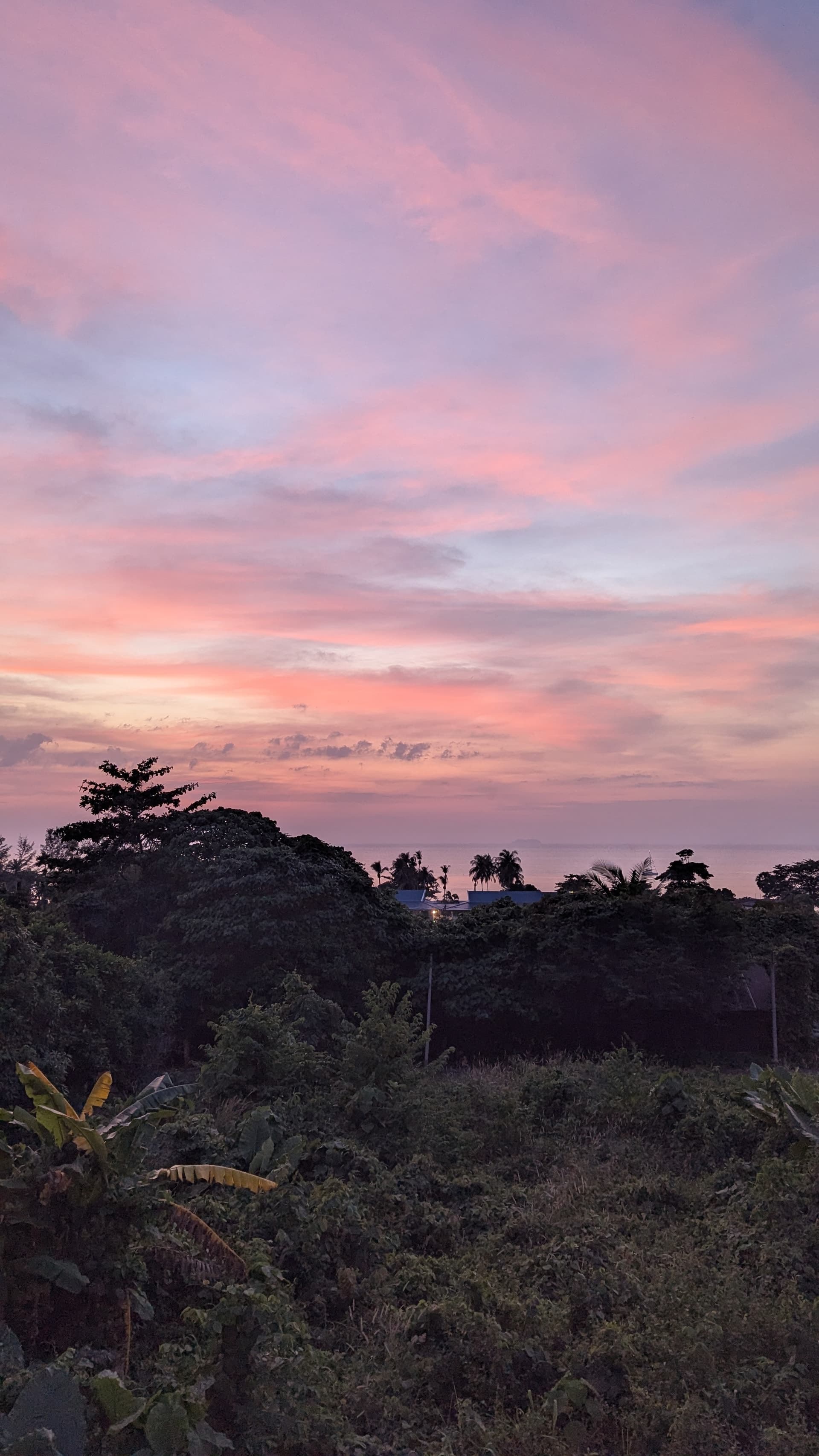 Google Pixel 7 — 7mm • ƒ/1.9 • 1/141 • ISO 317