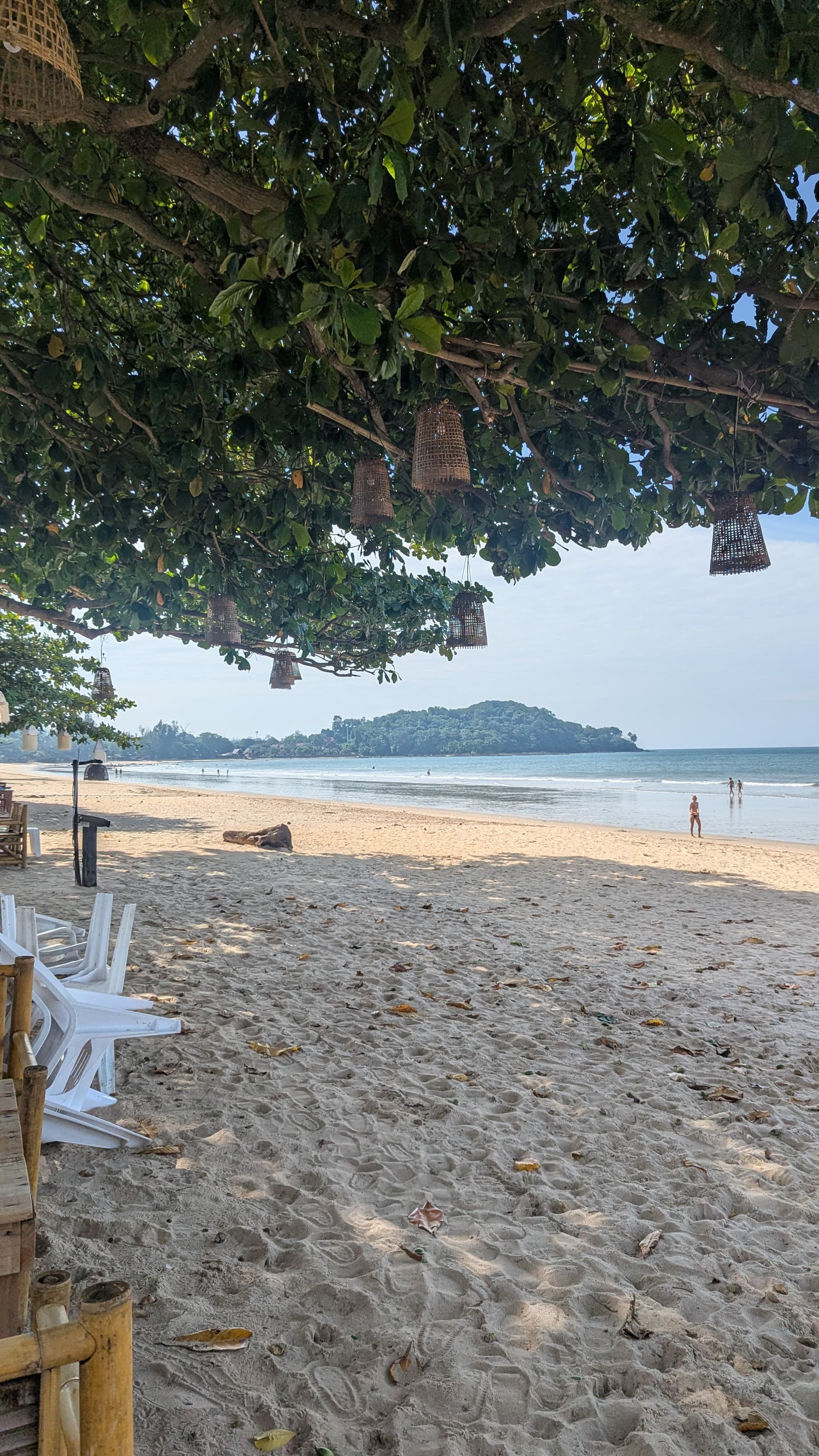 Google Pixel 7 — 7mm • ƒ/1.9 • 1/2058 • ISO 47