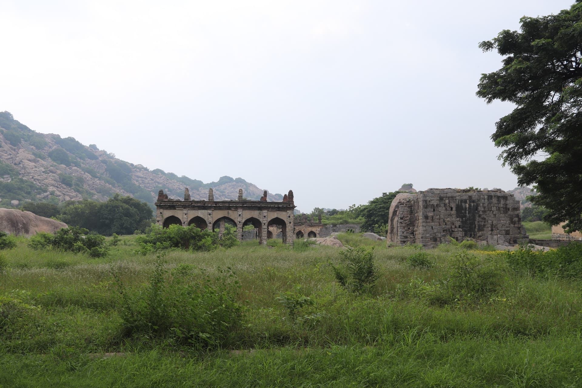 Canon Canon EOS 77D β 24mm β’ Ζ/8.0 β’ 1/125 β’ ISO 100