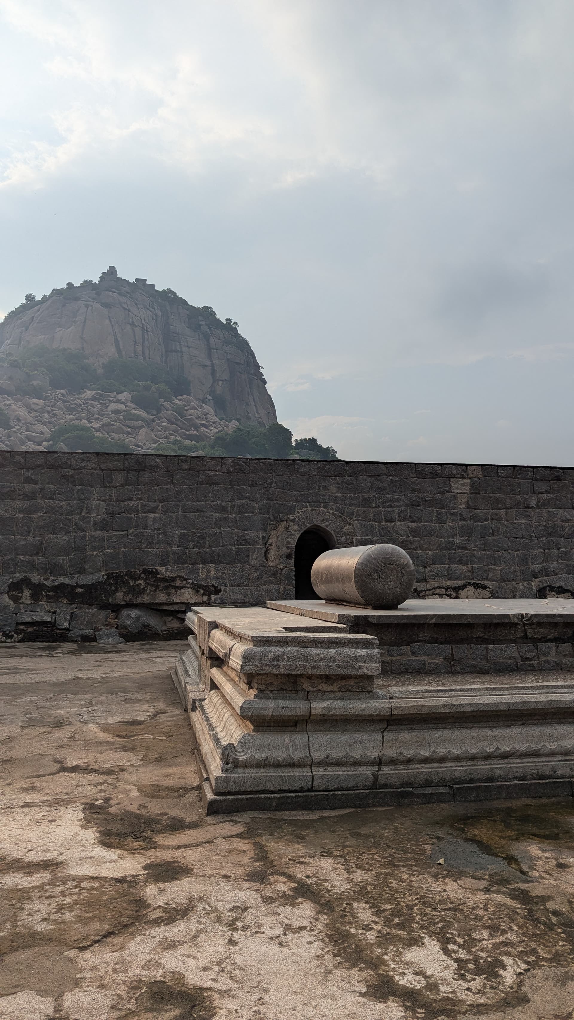 Google Pixel 7 β 7mm β’ Ζ/1.9 β’ 1/4717 β’ ISO 47