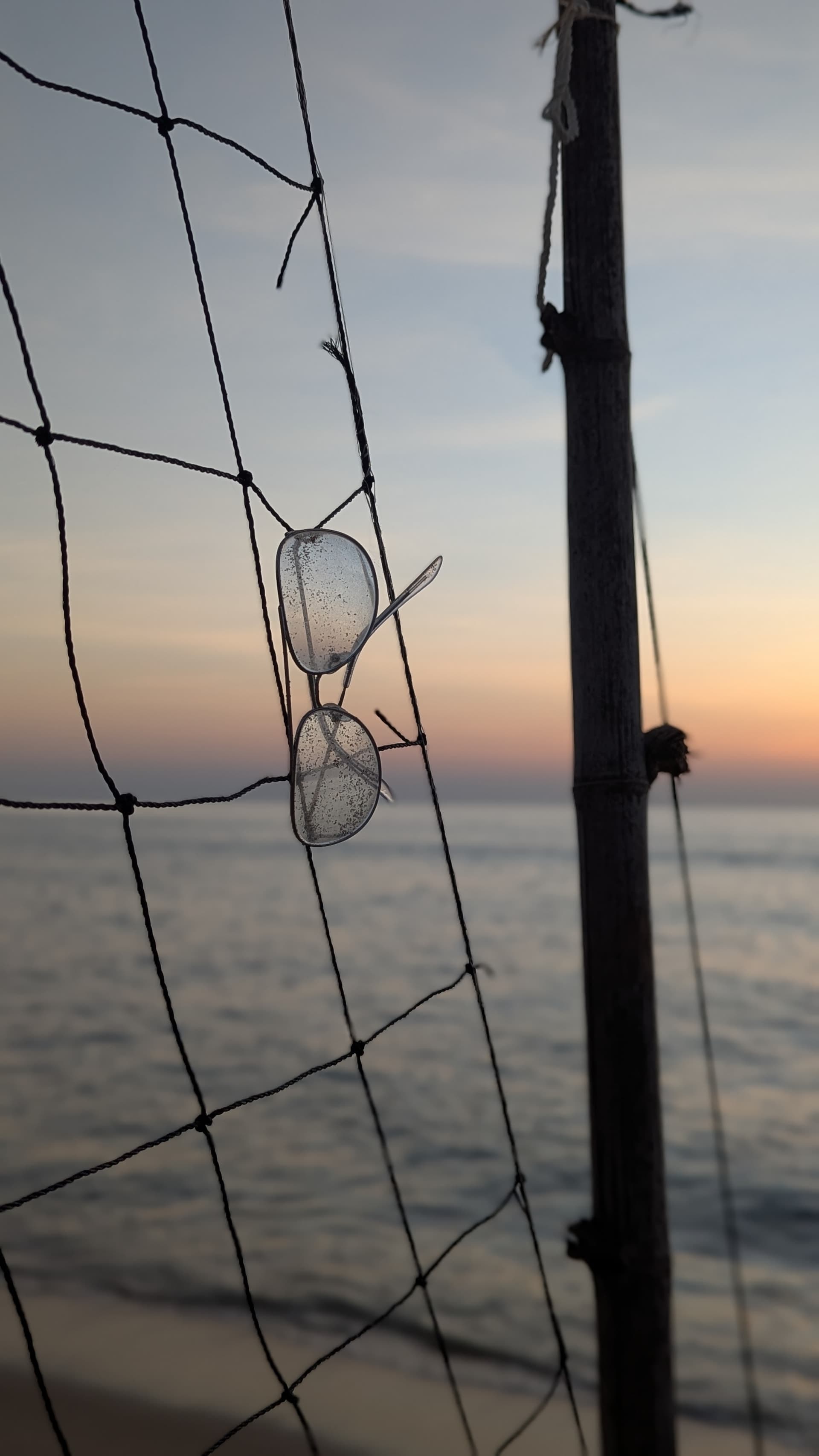 Google Pixel 7 — 7mm • ƒ/1.9 • 1/388 • ISO 44