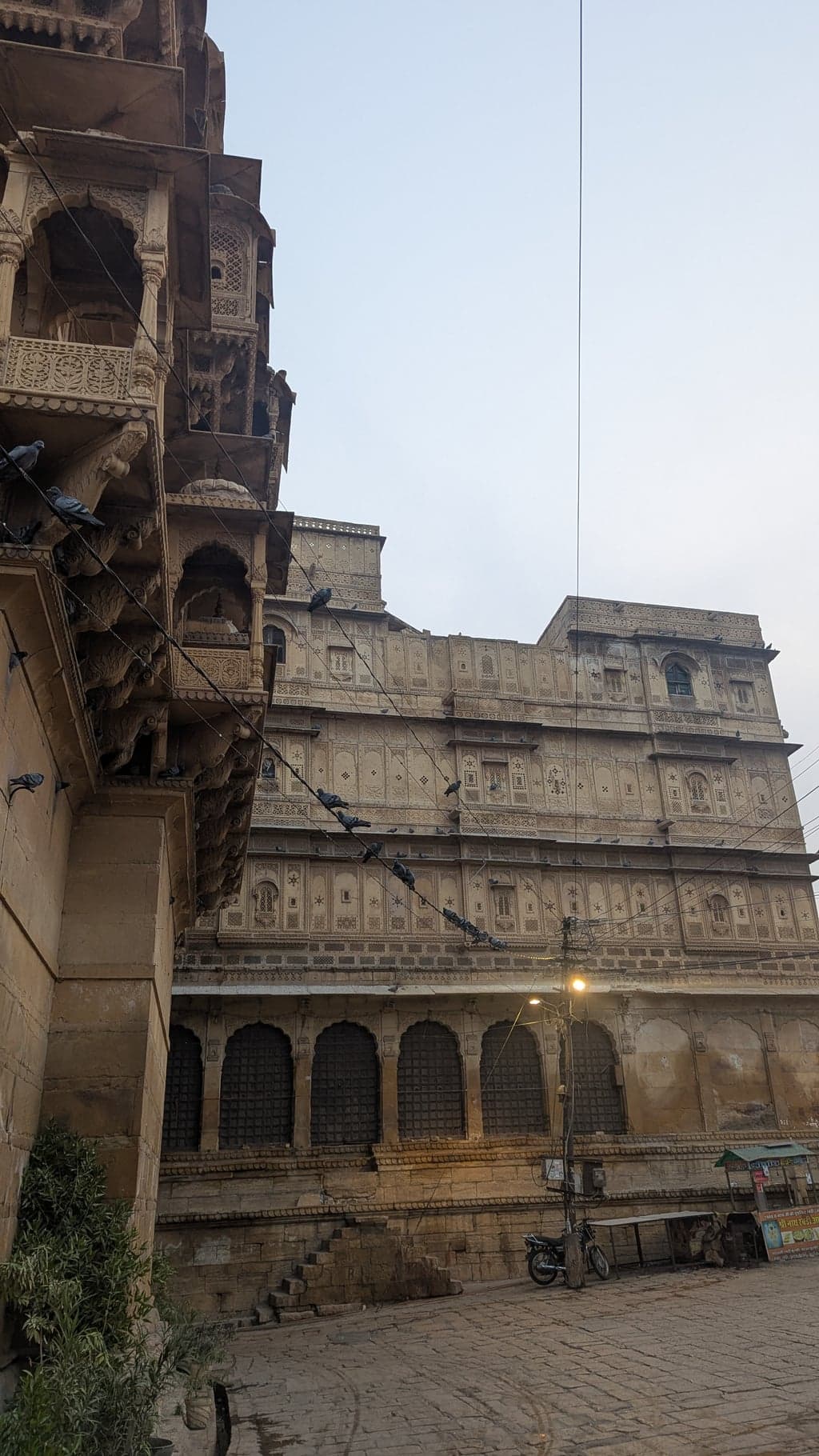 Google Pixel 7 — 7mm • ƒ/1.9 • 1/137 • ISO 50