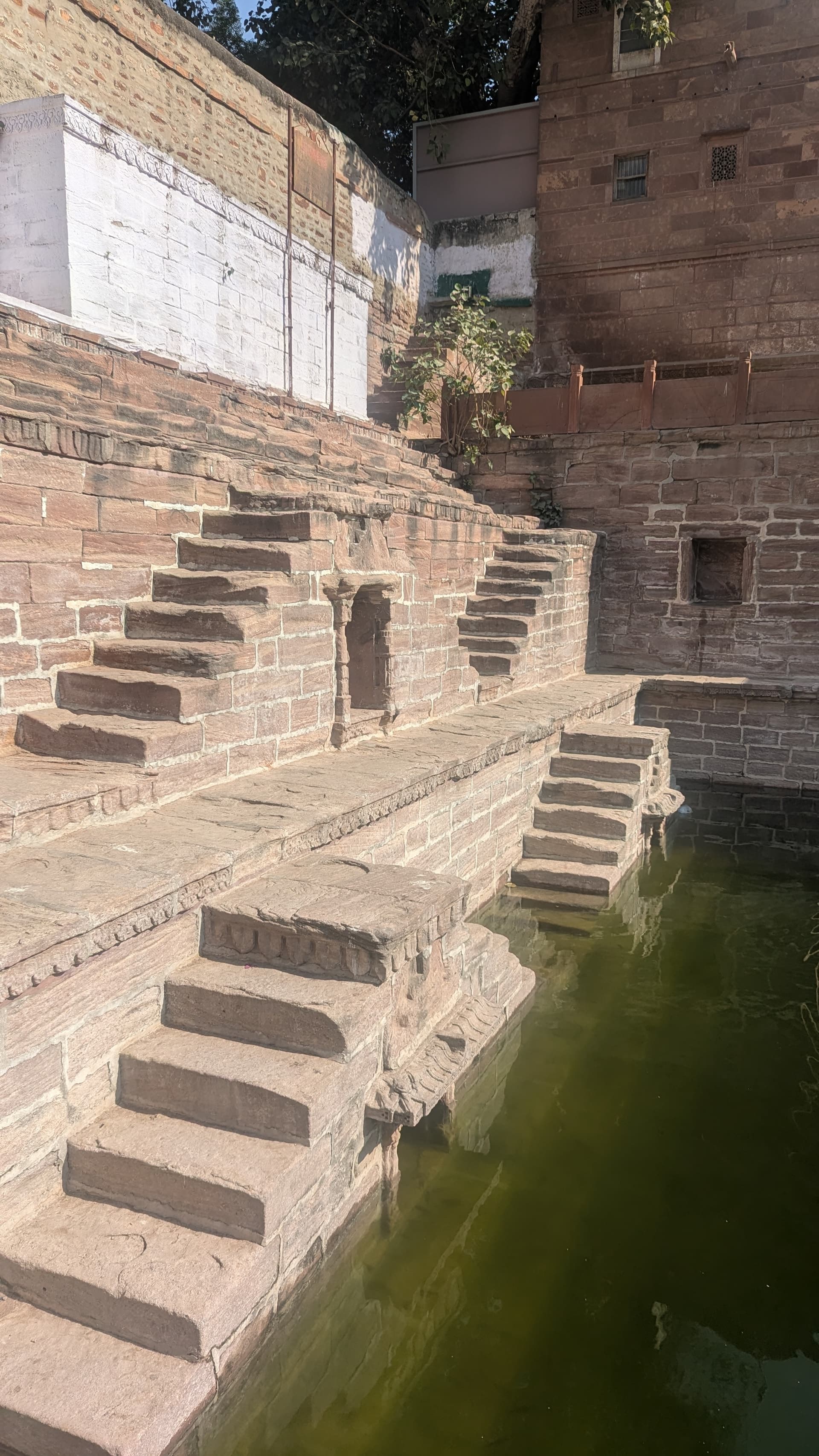 Google Pixel 7 — 7mm • ƒ/1.9 • 1/2358 • ISO 49