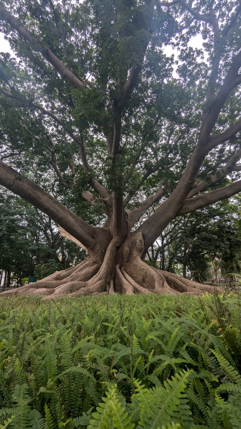 Google Pixel 7 — 2mm • ƒ/2.2 • 1/131 • ISO 44