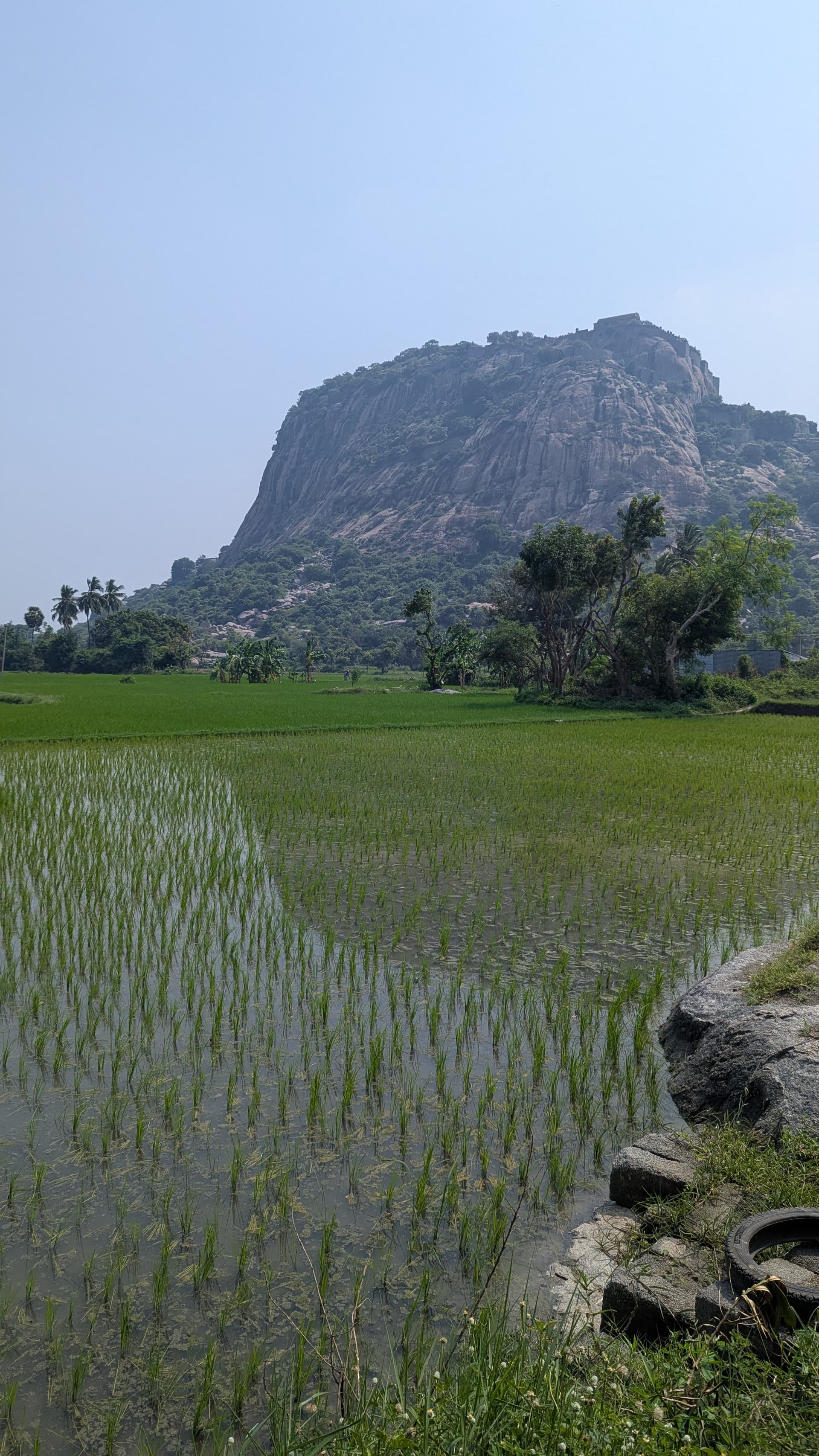 Google Pixel 7 β 7mm β’ Ζ/1.9 β’ 1/3145 β’ ISO 47