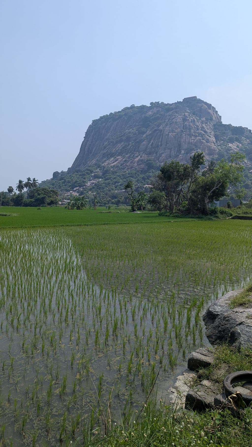 Google Pixel 7 β 7mm β’ Ζ/1.9 β’ 1/3145 β’ ISO 47