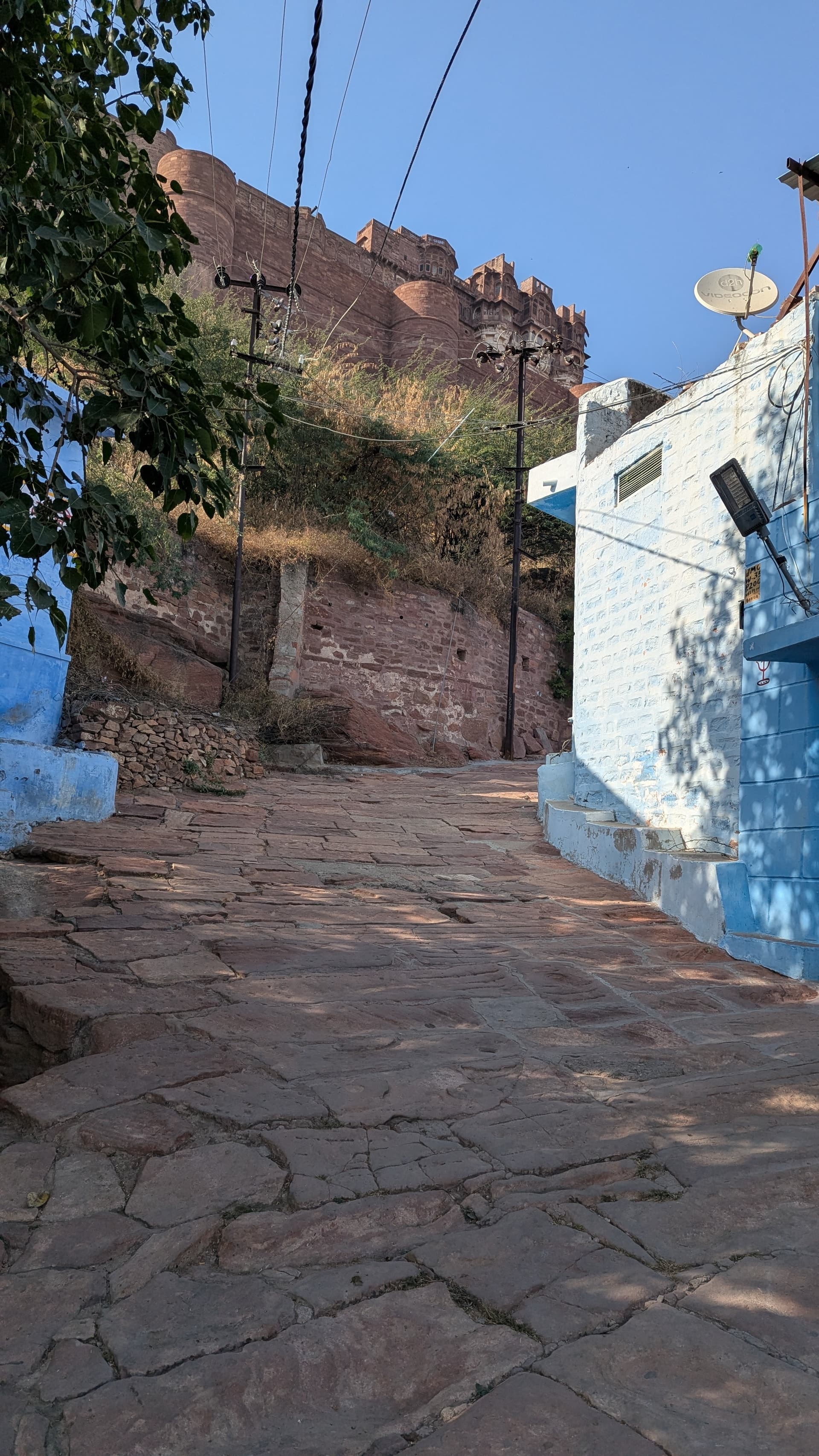 Google Pixel 7 — 7mm • ƒ/1.9 • 1/1953 • ISO 46