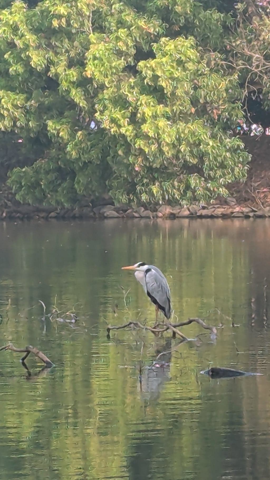 Google Pixel 7 — 7mm • ƒ/1.9 • 1/336 • ISO 41