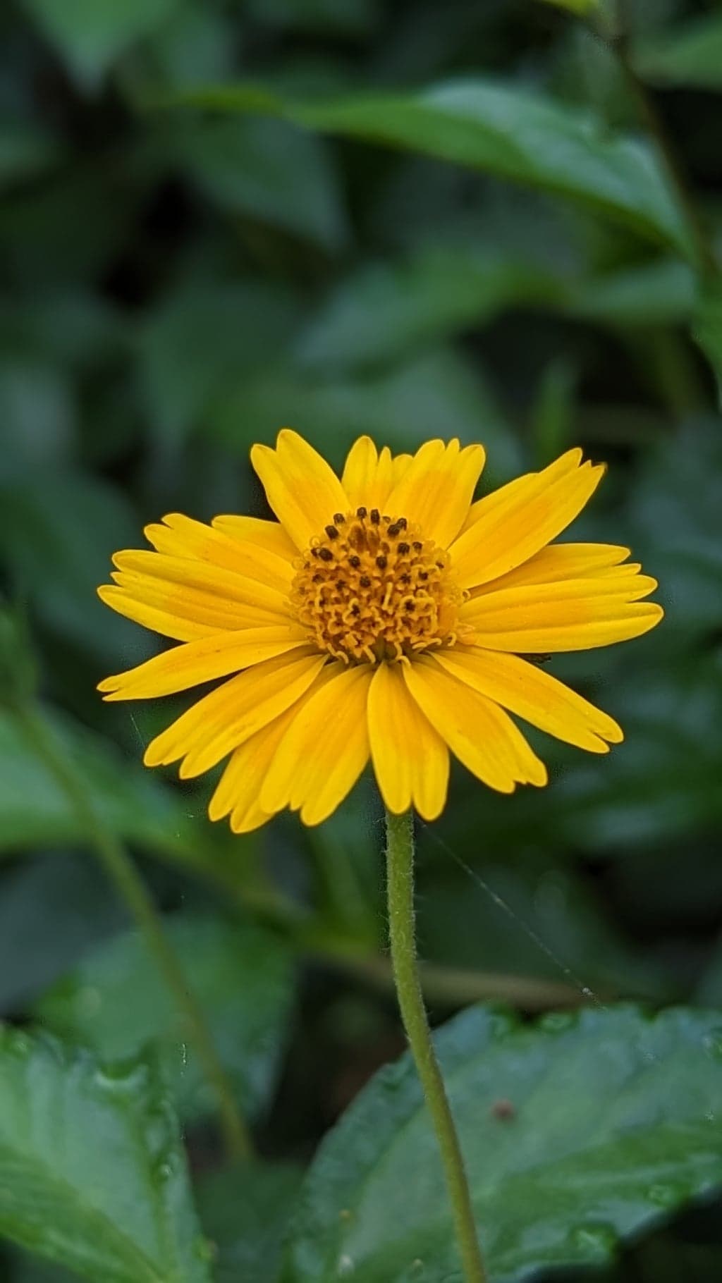 Google Pixel 7 — 7mm • ƒ/1.9 • 1/149 • ISO 45