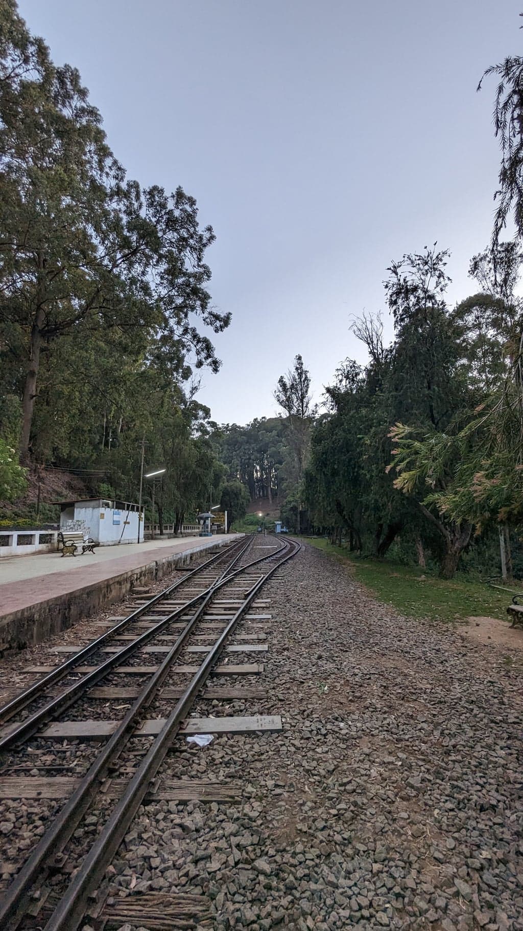 Google Pixel 7 — 2mm • ƒ/2.2 • 1/55 • ISO 52