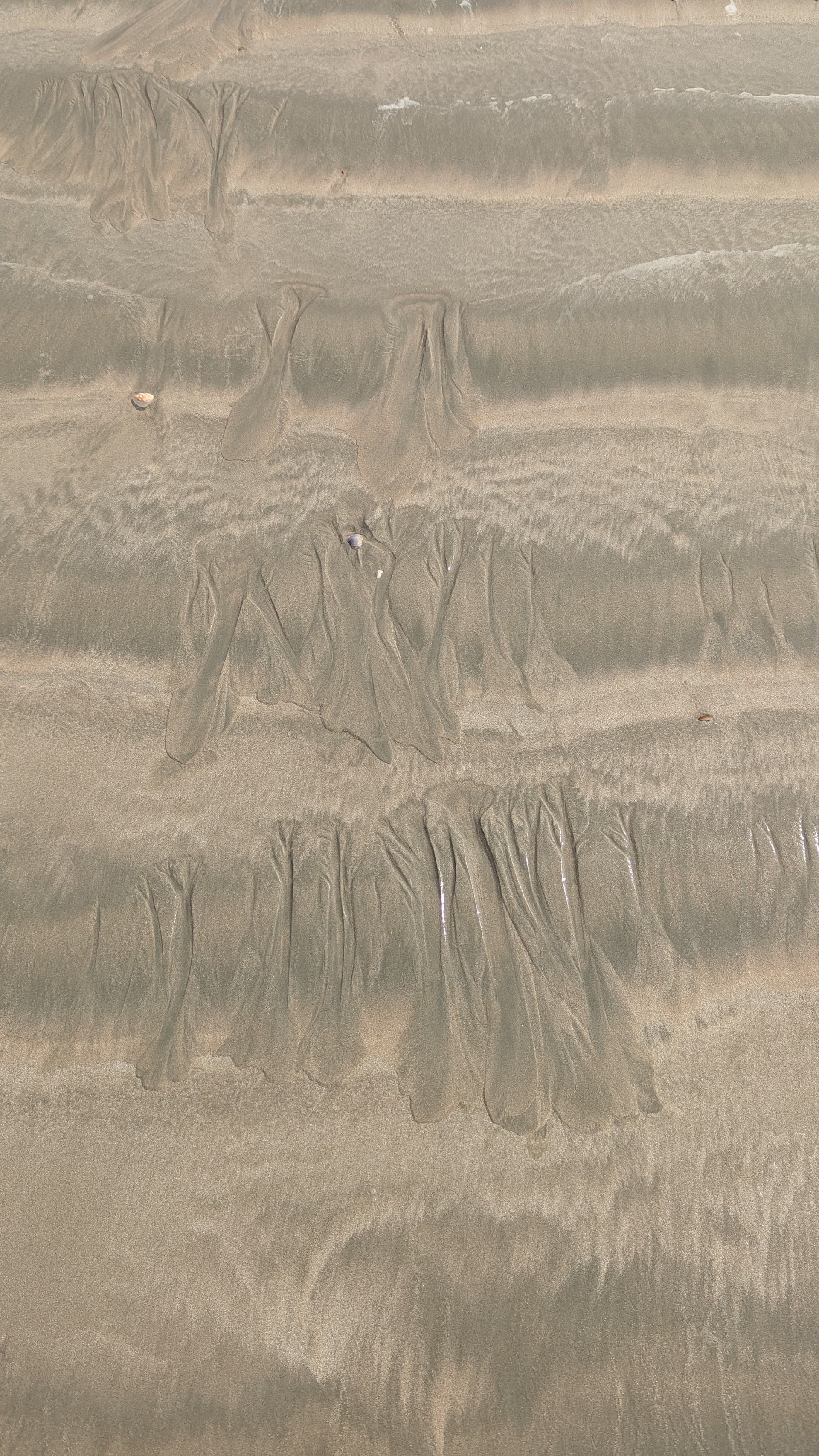 Google Pixel 7 — 7mm • ƒ/1.9 • 1/1550 • ISO 42