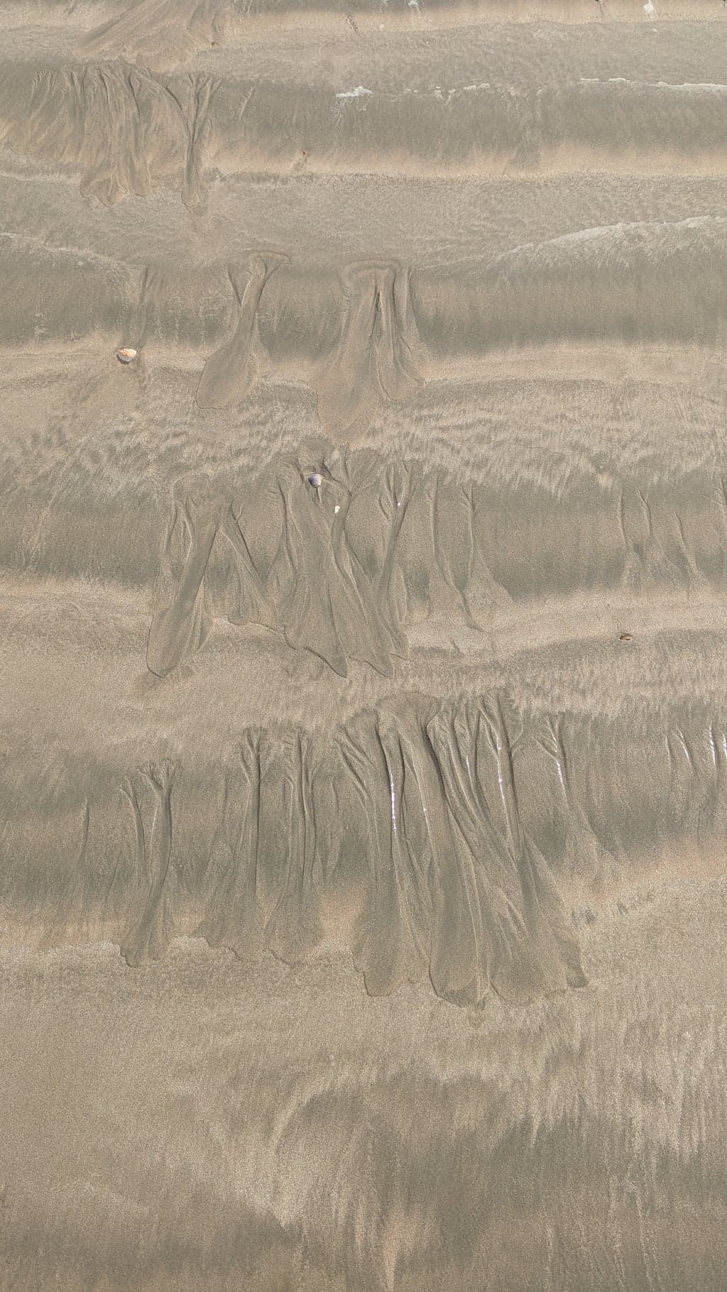 Google Pixel 7 — 7mm • ƒ/1.9 • 1/1550 • ISO 42