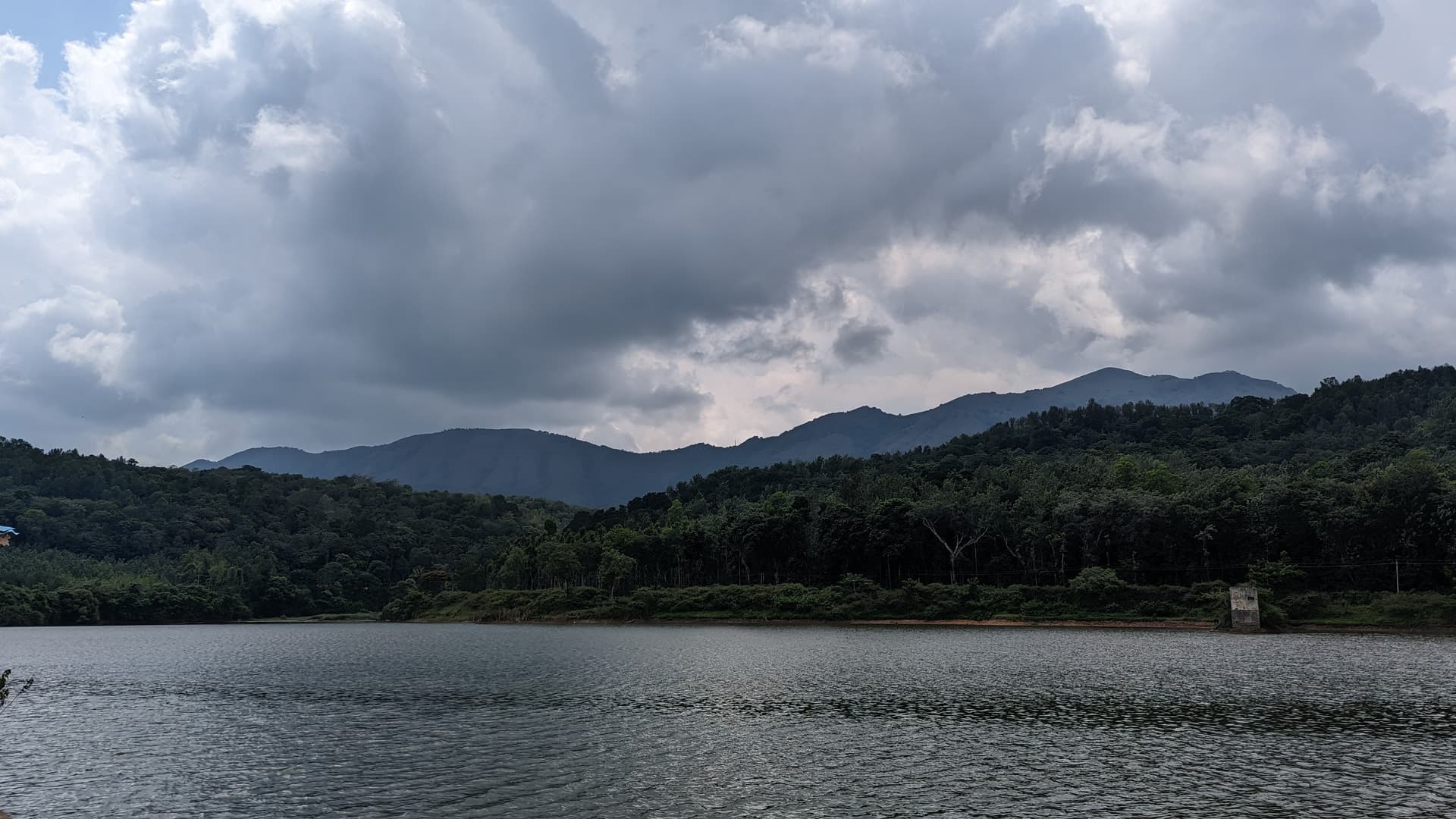 Google Pixel 7 — 7mm • ƒ/1.9 • 1/3145 • ISO 46