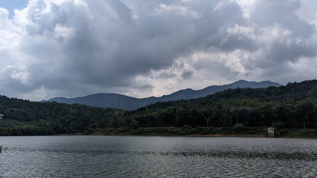 Google Pixel 7 — 7mm • ƒ/1.9 • 1/3145 • ISO 46