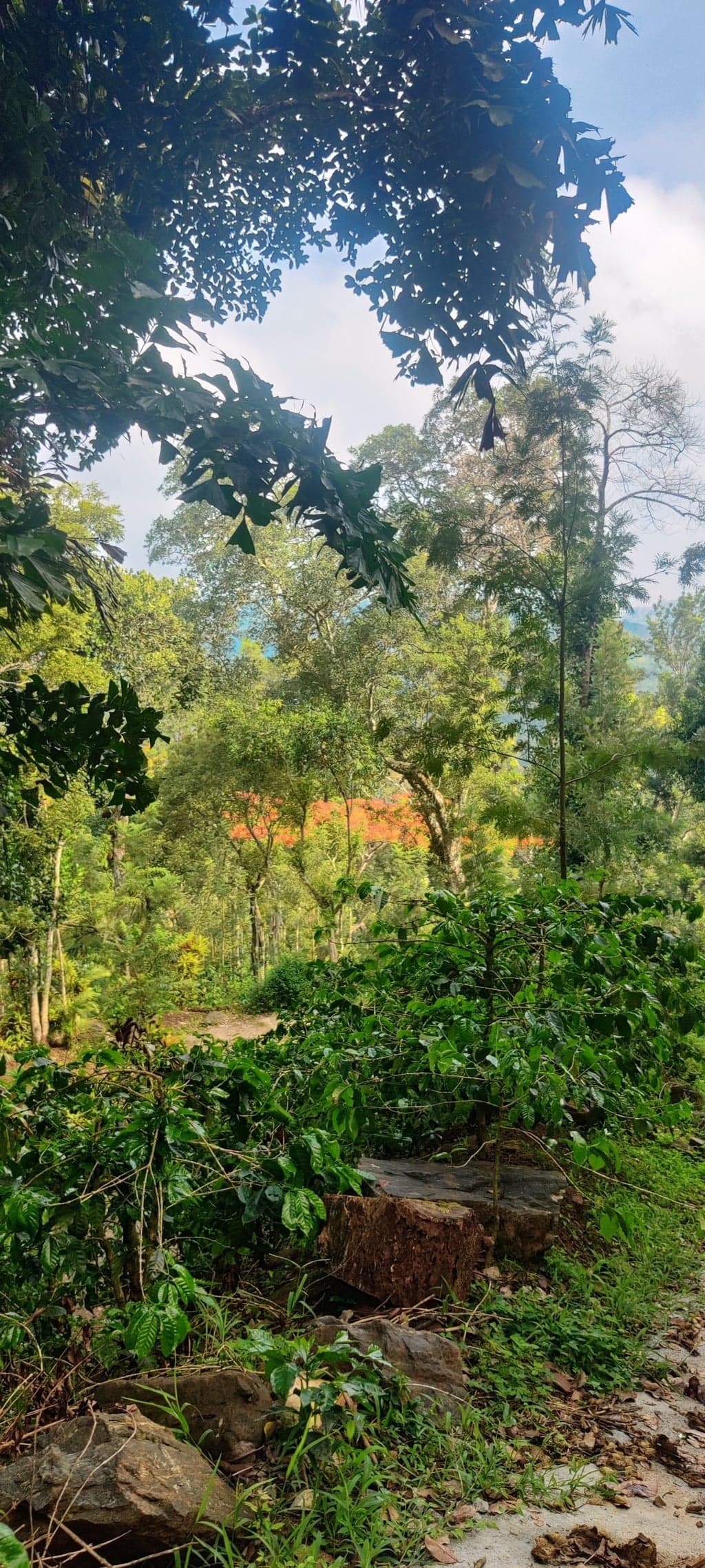 OnePlus IN2011 — 5mm • ƒ/1.8 • 1/1909 • ISO 125