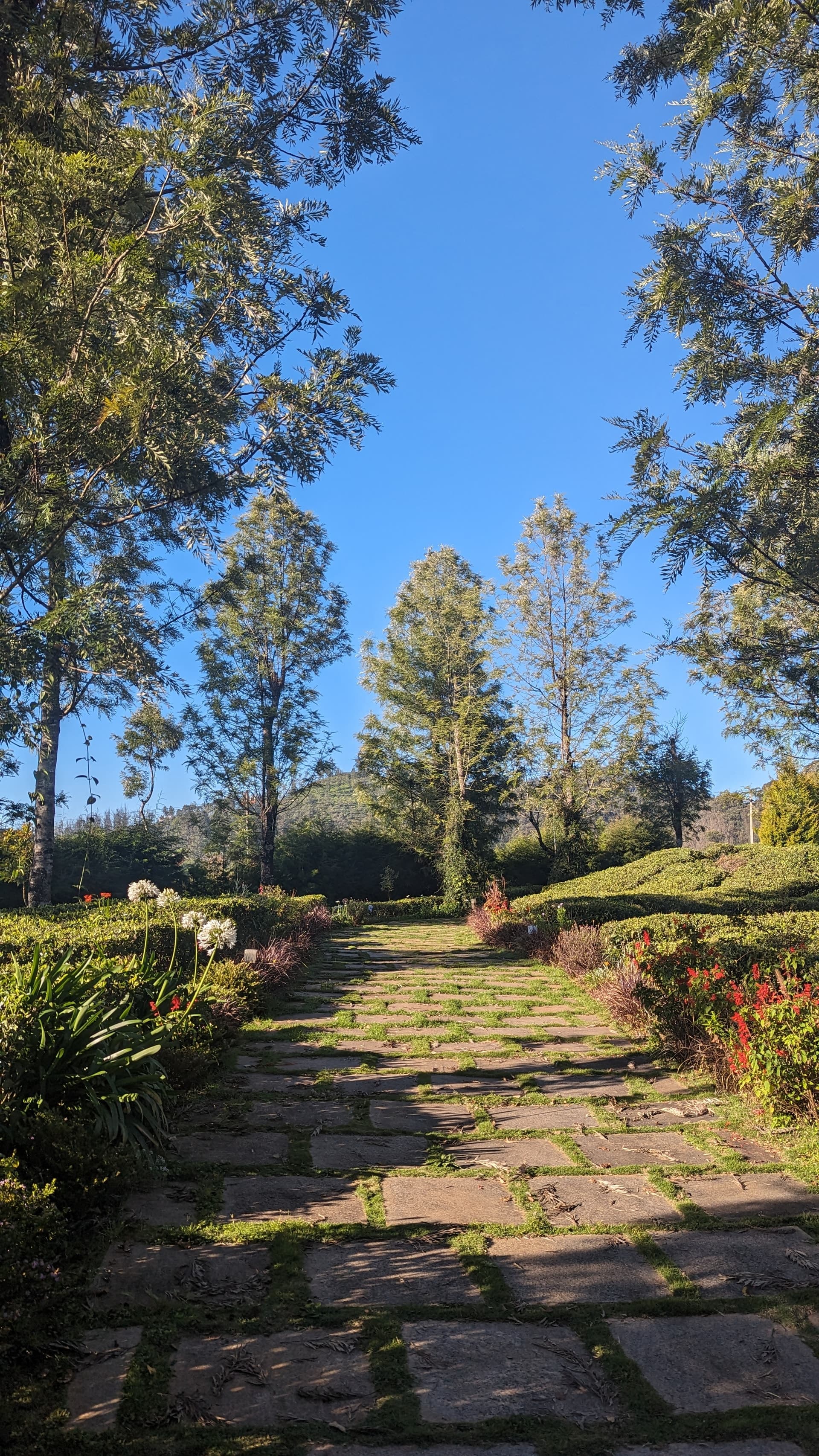 Google Pixel 7 — 7mm • ƒ/1.9 • 1/1179 • ISO 44