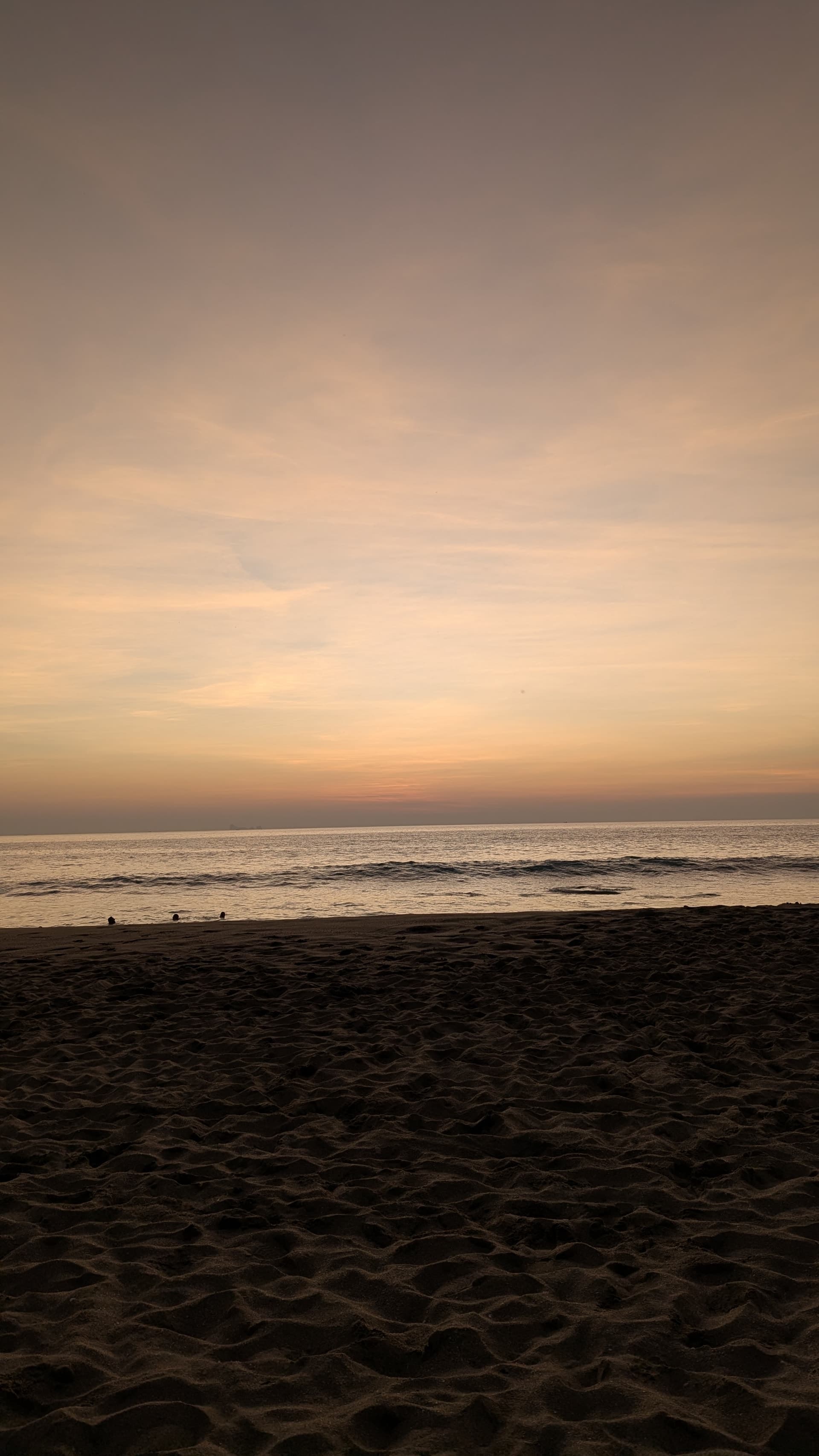 Google Pixel 7 — 7mm • ƒ/1.9 • 1/442 • ISO 56