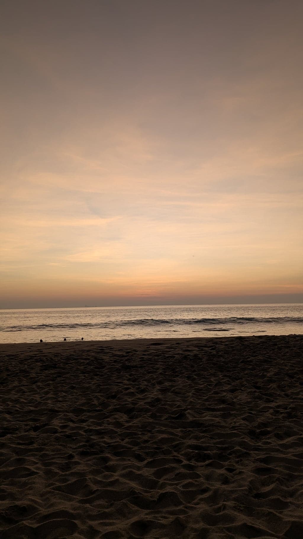 Google Pixel 7 — 7mm • ƒ/1.9 • 1/442 • ISO 56