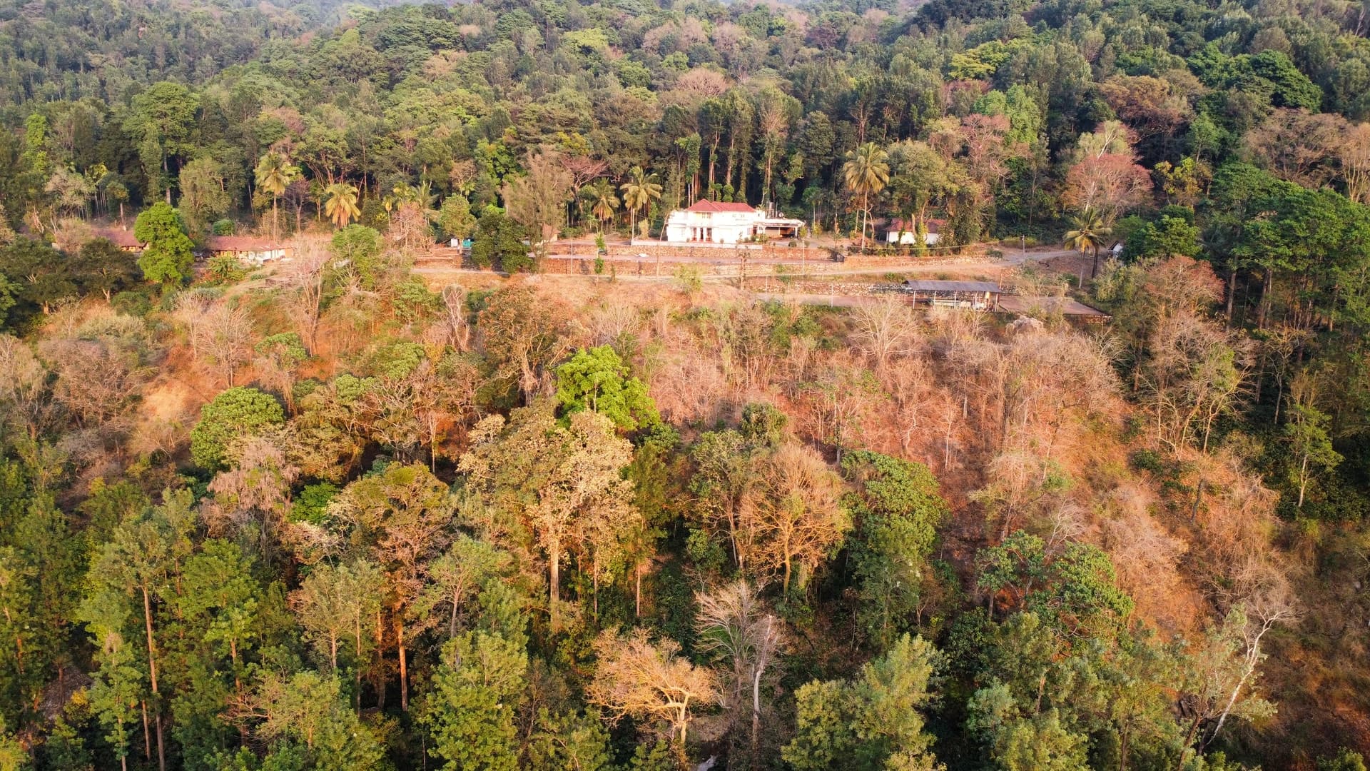 DJI FC7303 — 4mm • ƒ/2.8 • 1/80 • ISO 100