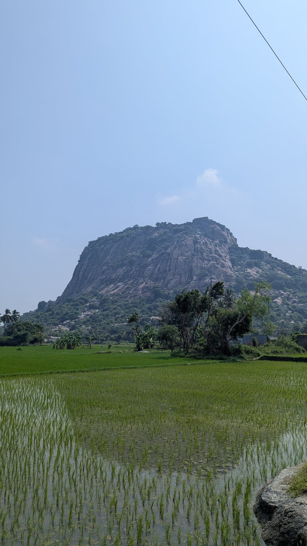 Google Pixel 7 β 7mm β’ Ζ/1.9 β’ 1/4184 β’ ISO 52