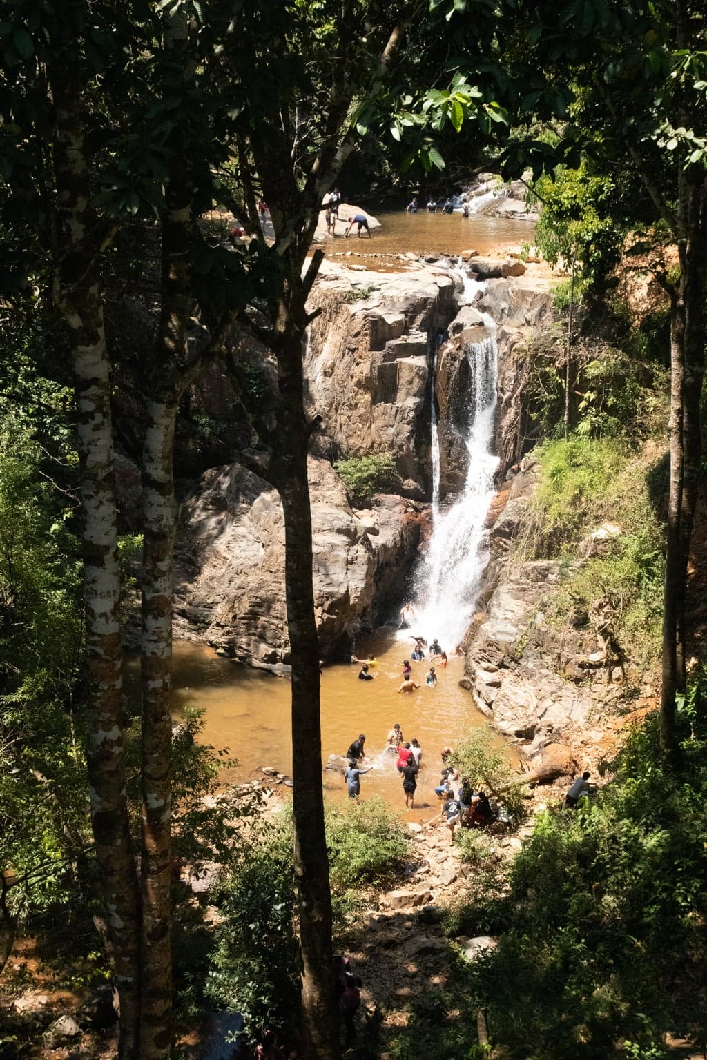 Canon Canon EOS 77D — 33mm • ƒ/8.0 • 1/2000 • ISO 3200