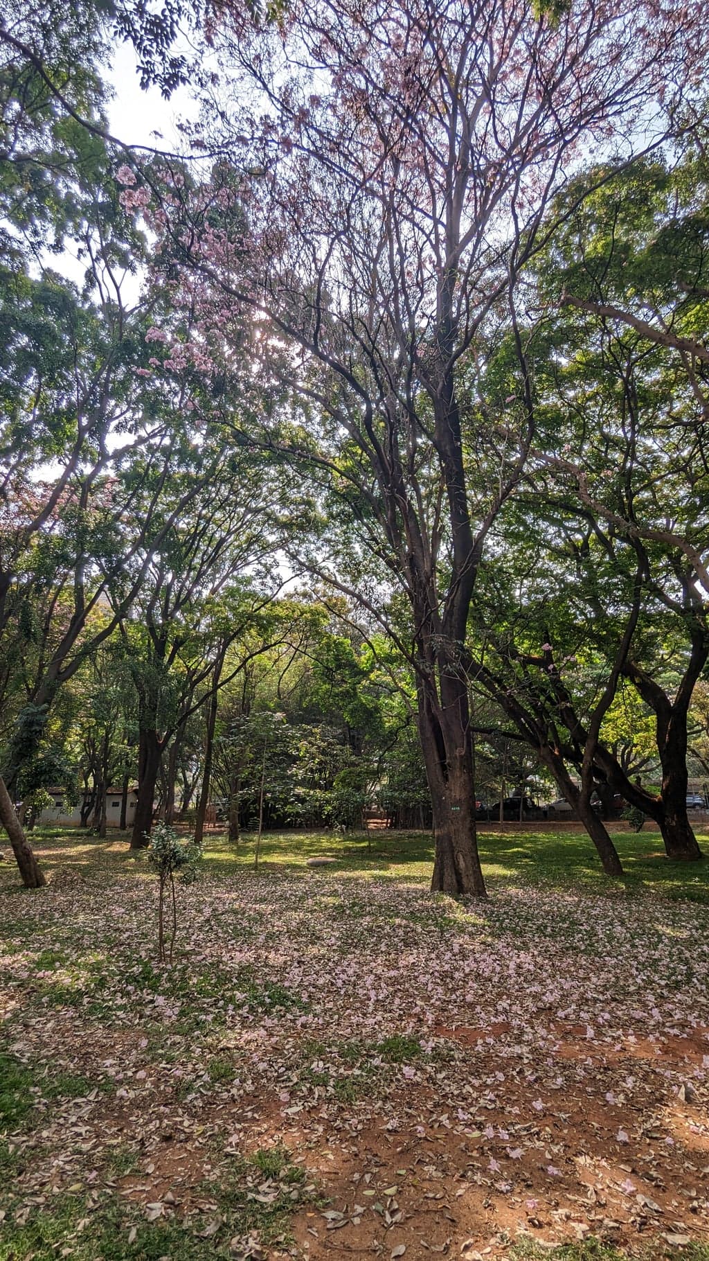 Google Pixel 7 — 2mm • ƒ/2.2 • 1/1125 • ISO 45