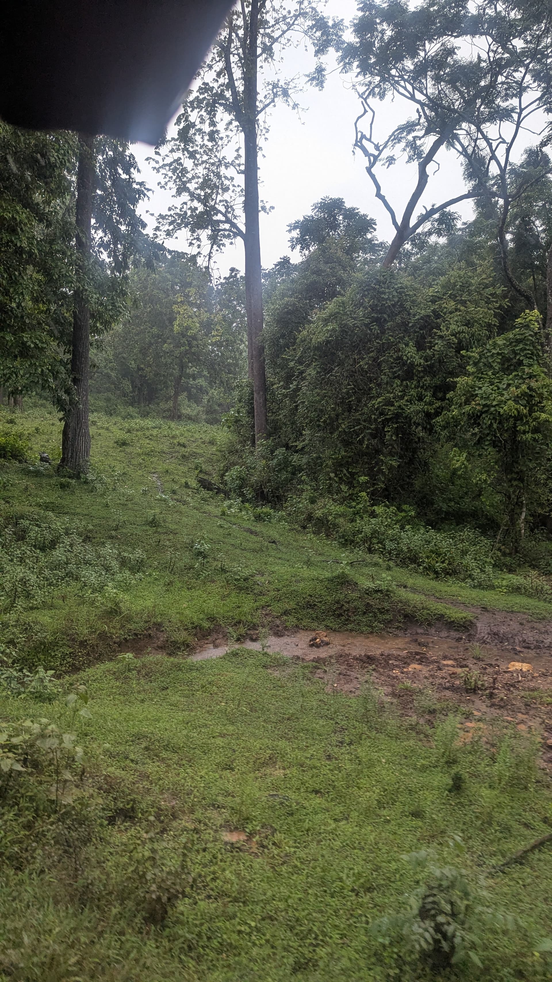 Google Pixel 7 — 7mm • ƒ/1.9 • 1/296 • ISO 83