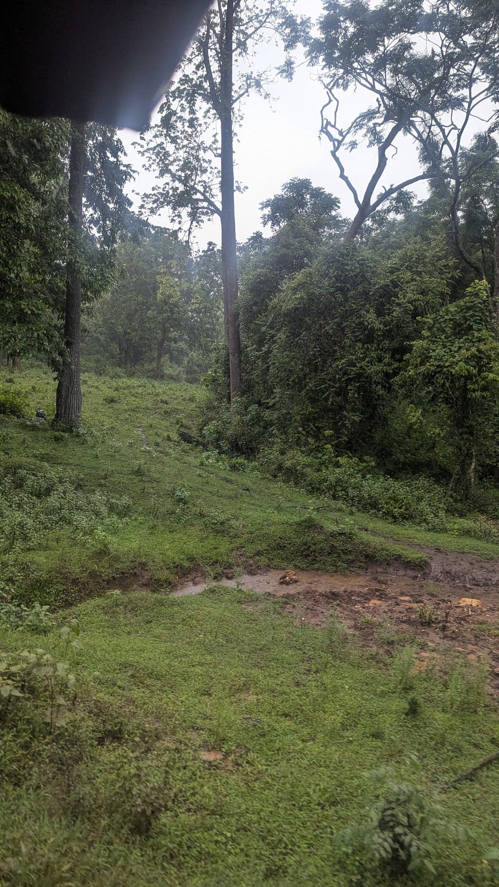 Google Pixel 7 — 7mm • ƒ/1.9 • 1/296 • ISO 83