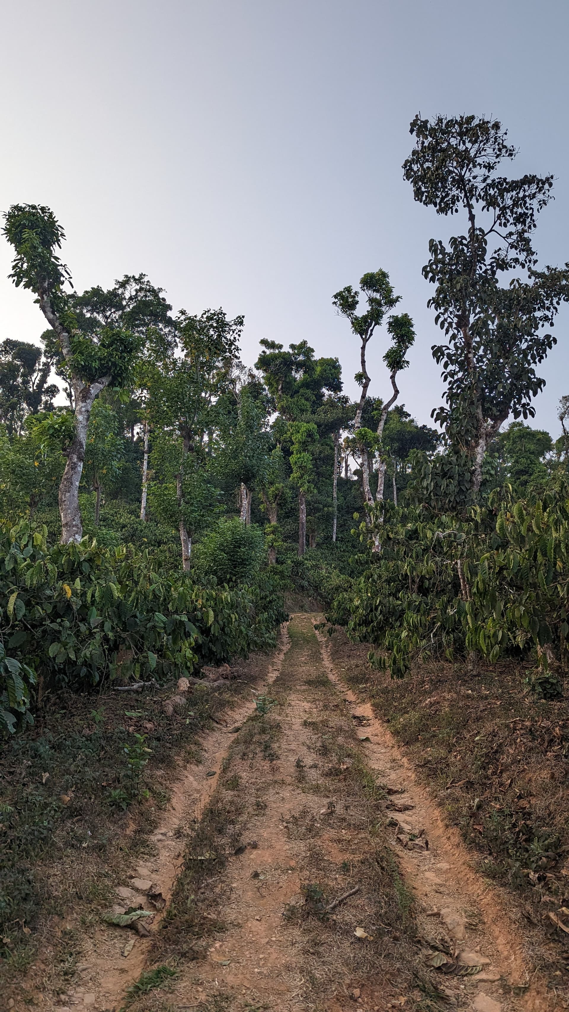 Google Pixel 7 — 7mm • ƒ/1.9 • 1/470 • ISO 46