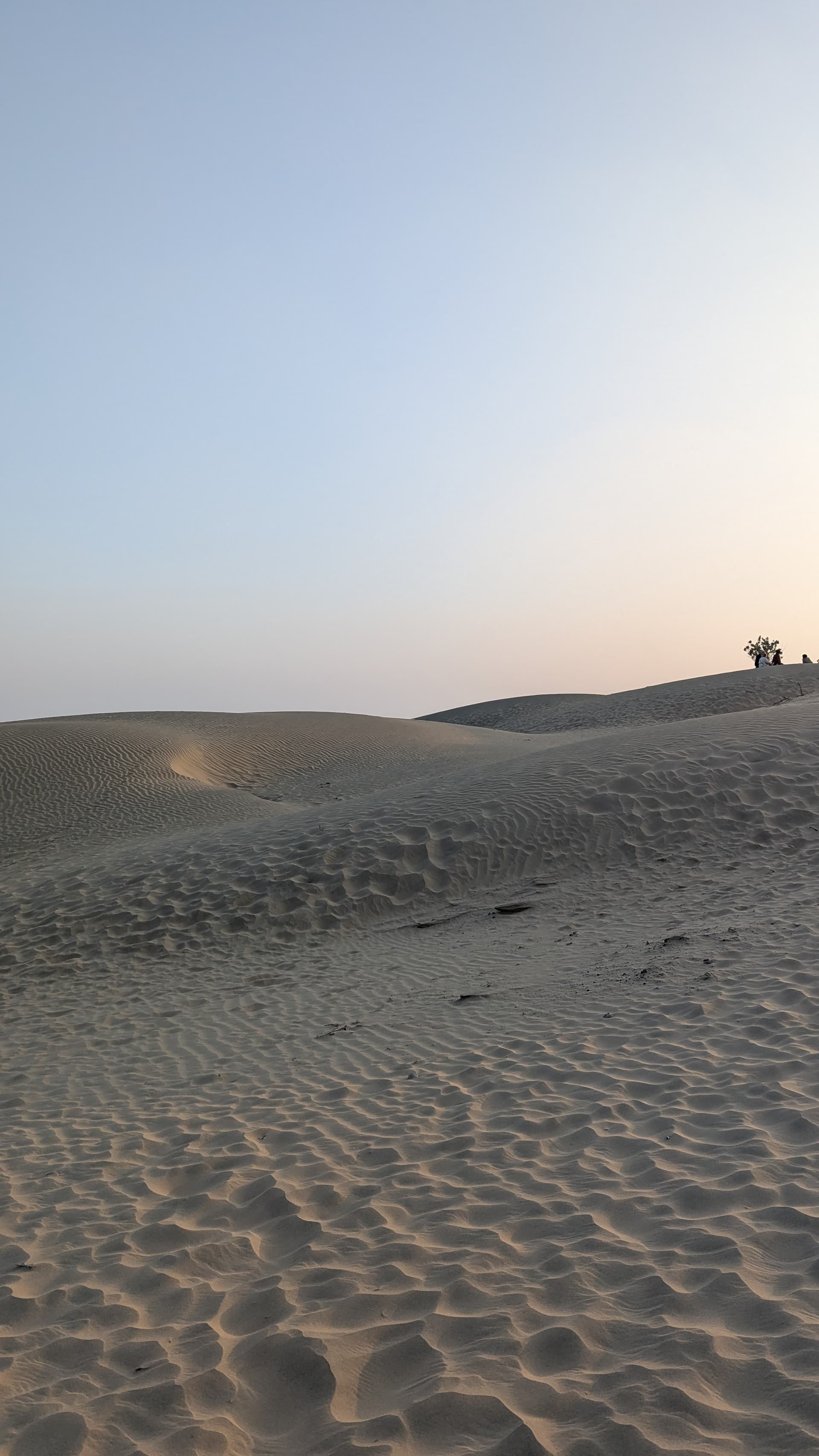 Google Pixel 7 — 7mm • ƒ/1.9 • 1/1048 • ISO 44