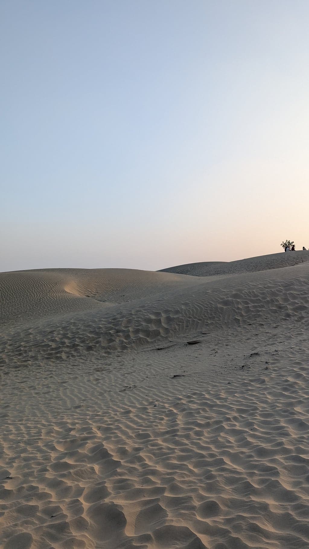 Google Pixel 7 — 7mm • ƒ/1.9 • 1/1048 • ISO 44