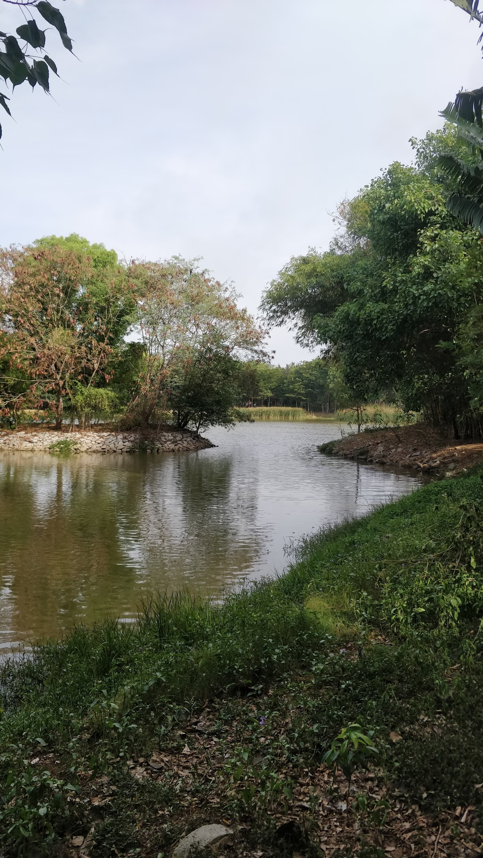 OnePlus ONEPLUS A5000 — 4mm • ƒ/1.7 • 1/1128 • ISO 200