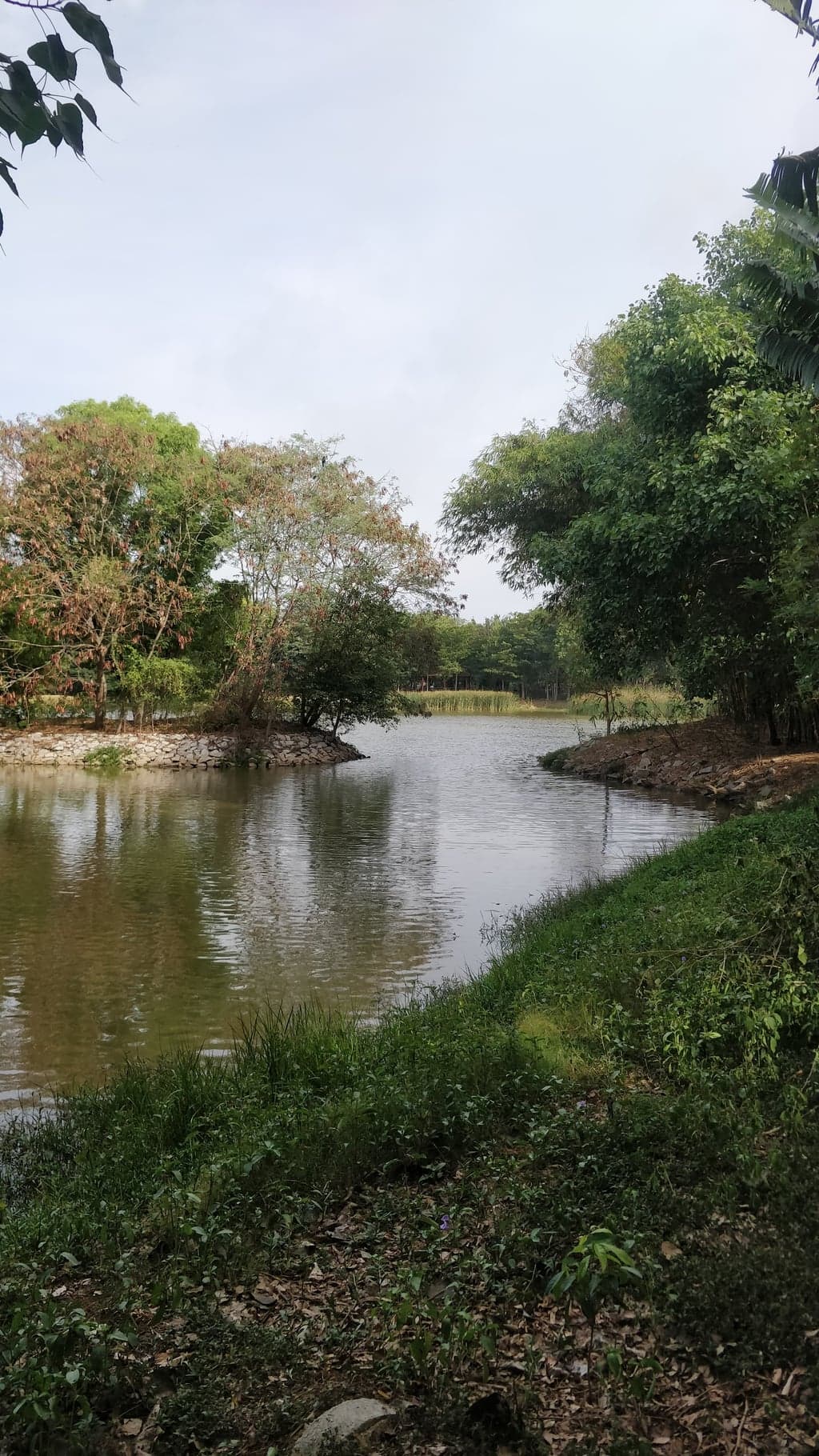 OnePlus ONEPLUS A5000 — 4mm • ƒ/1.7 • 1/1128 • ISO 200