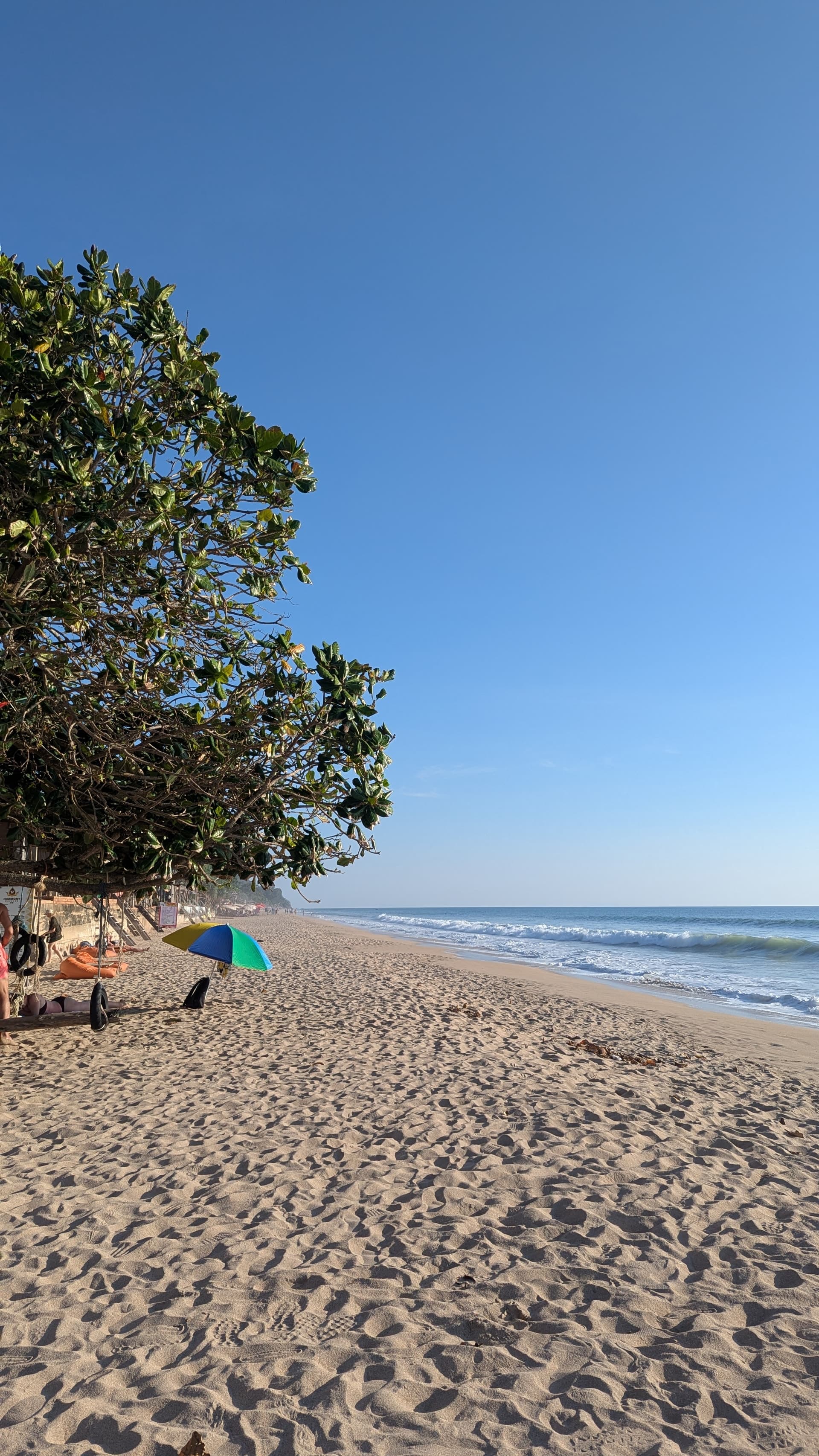 Google Pixel 7 — 7mm • ƒ/1.9 • 1/1919 • ISO 45