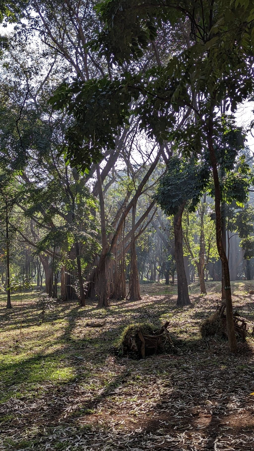 Google Pixel 7 — 7mm • ƒ/1.9 • 1/699 • ISO 47