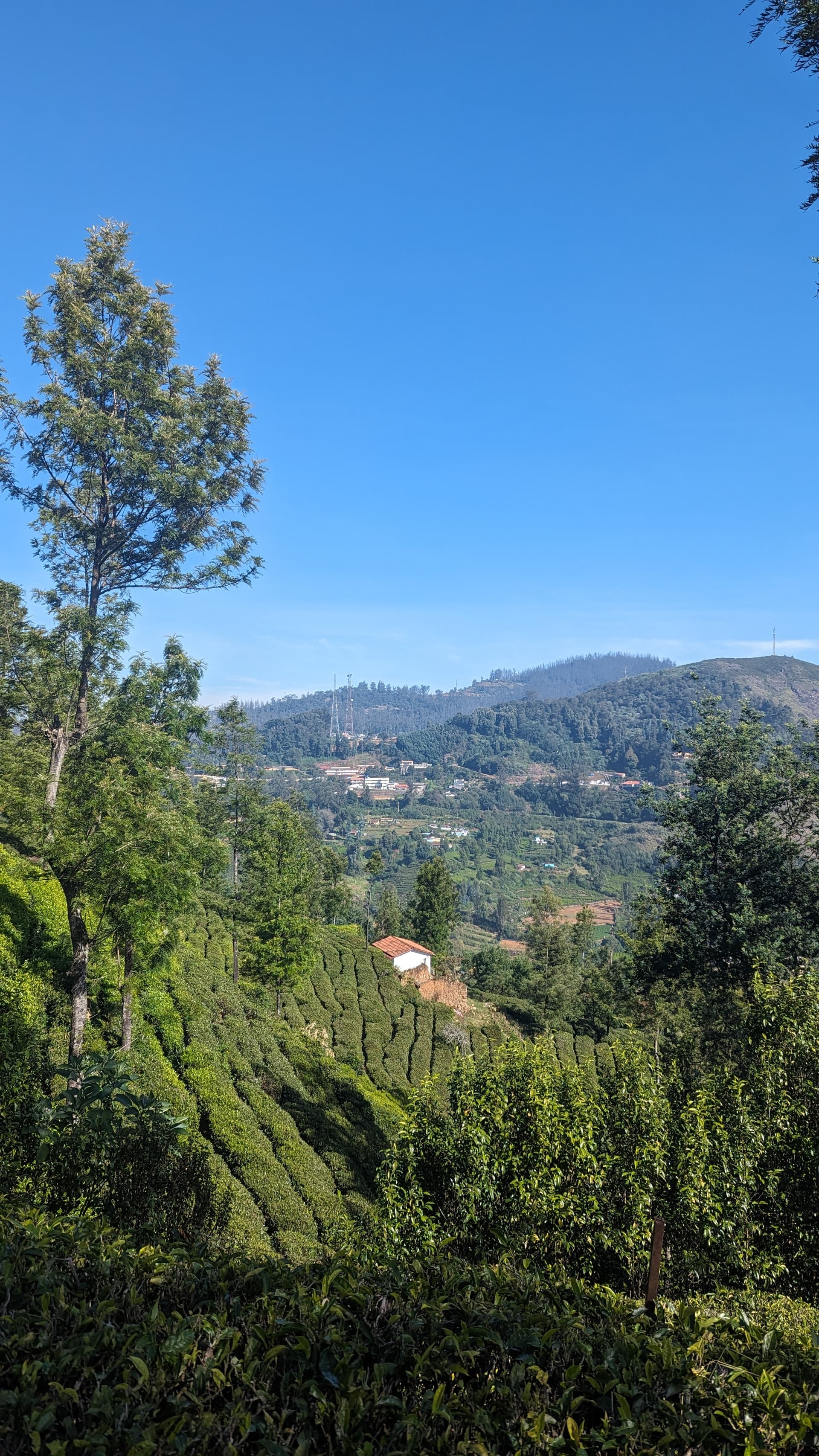 Google Pixel 7 — 7mm • ƒ/1.9 • 1/1300 • ISO 45