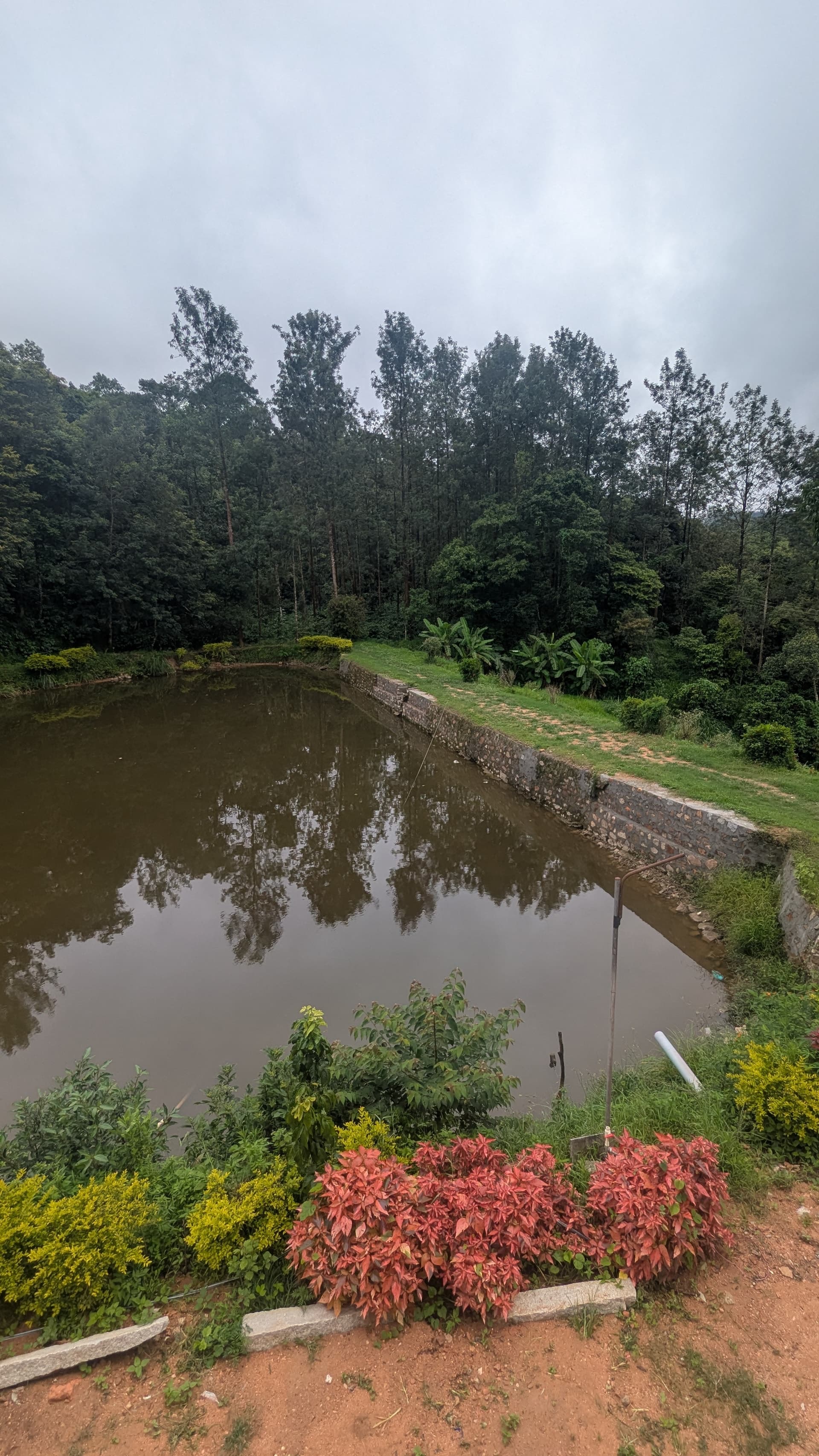 Google Pixel 7 — 2mm • ƒ/2.2 • 1/735 • ISO 51