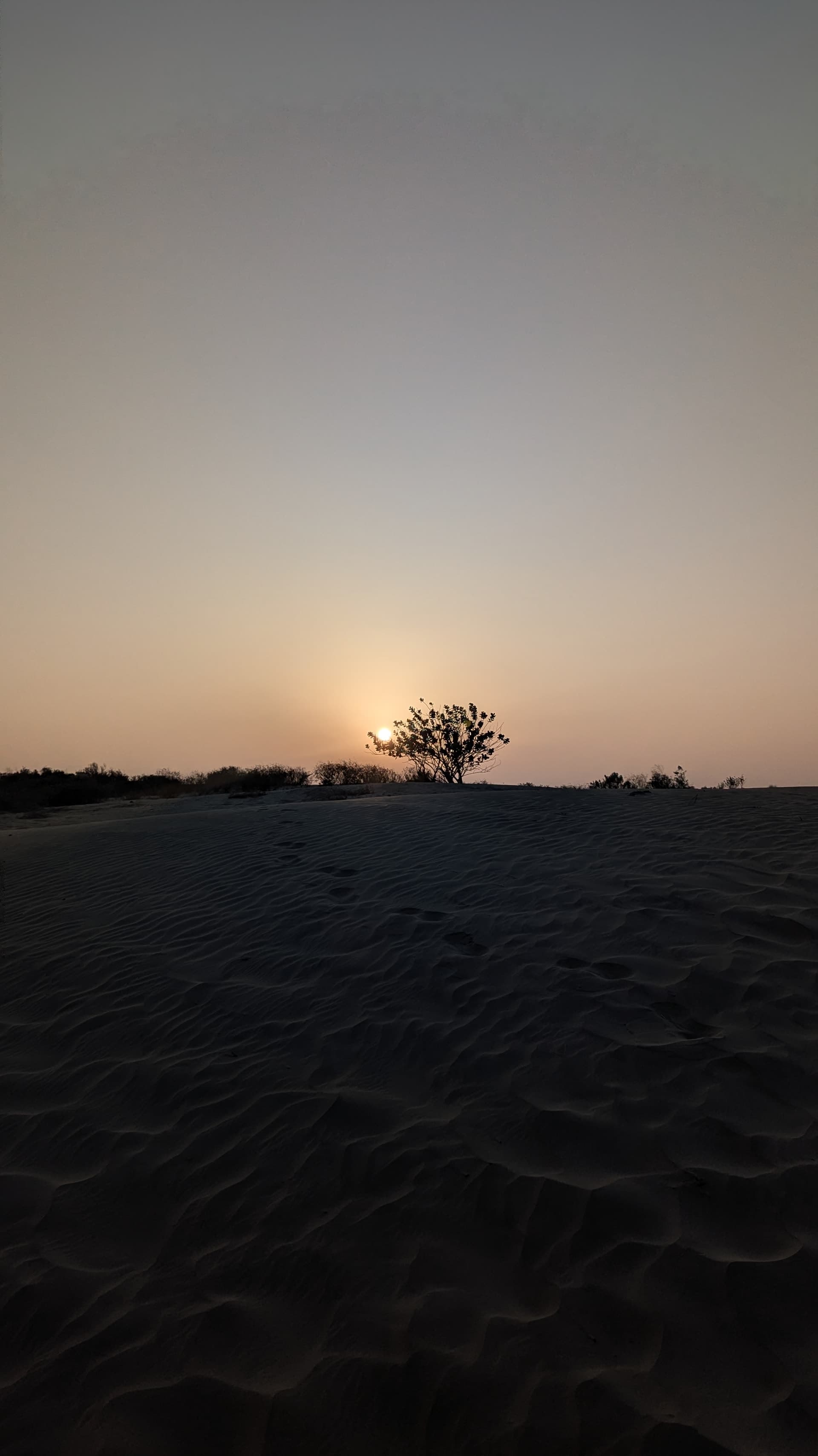 Google Pixel 7 — 7mm • ƒ/1.9 • 1/16129 • ISO 54