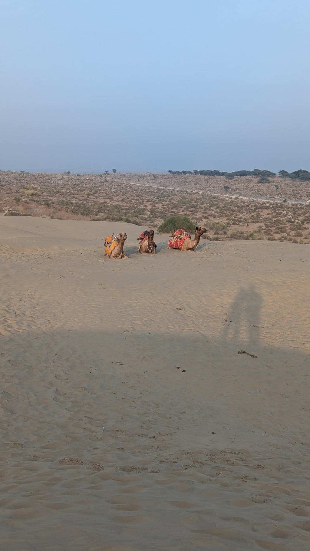 Google Pixel 7 — 7mm • ƒ/1.9 • 1/633 • ISO 41