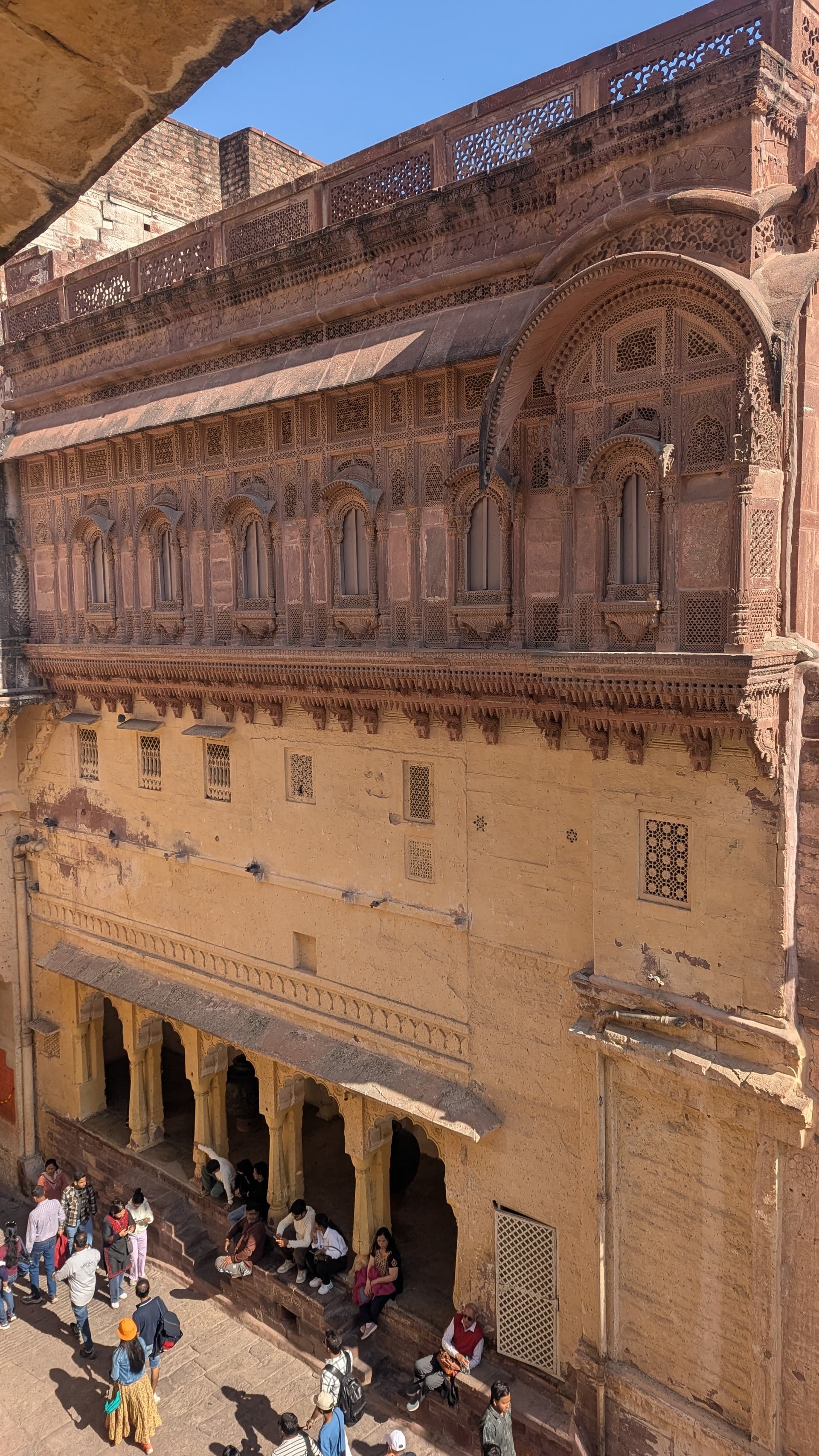 Google Pixel 7 — 7mm • ƒ/1.9 • 1/1795 • ISO 44