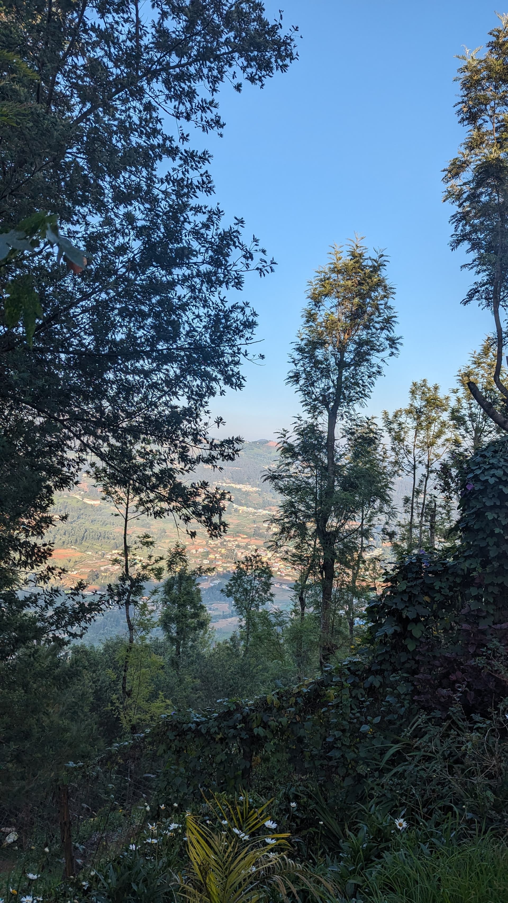 Google Pixel 7 — 7mm • ƒ/1.9 • 1/1048 • ISO 47