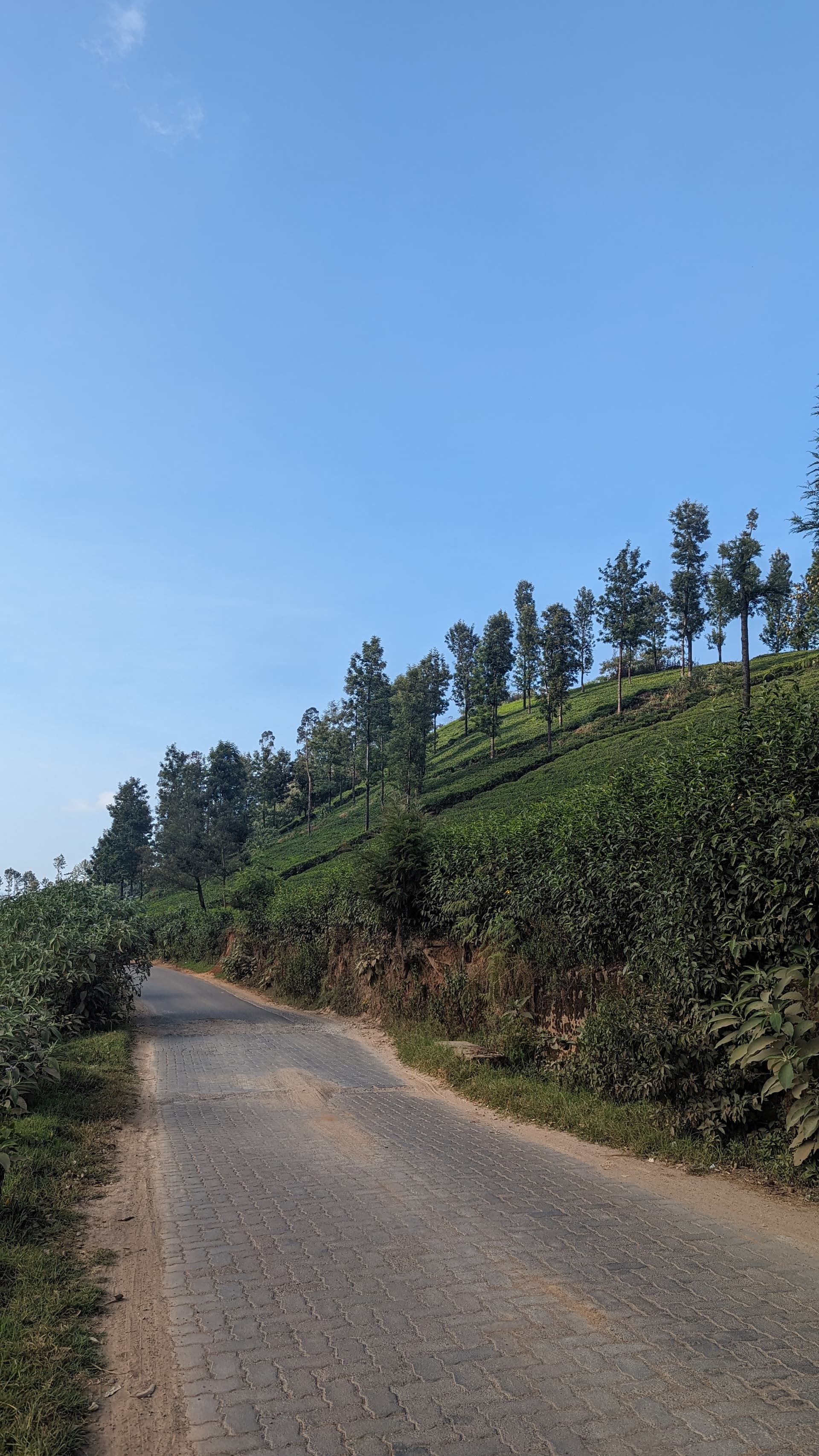 Google Pixel 7 — 7mm • ƒ/1.9 • 1/871 • ISO 46